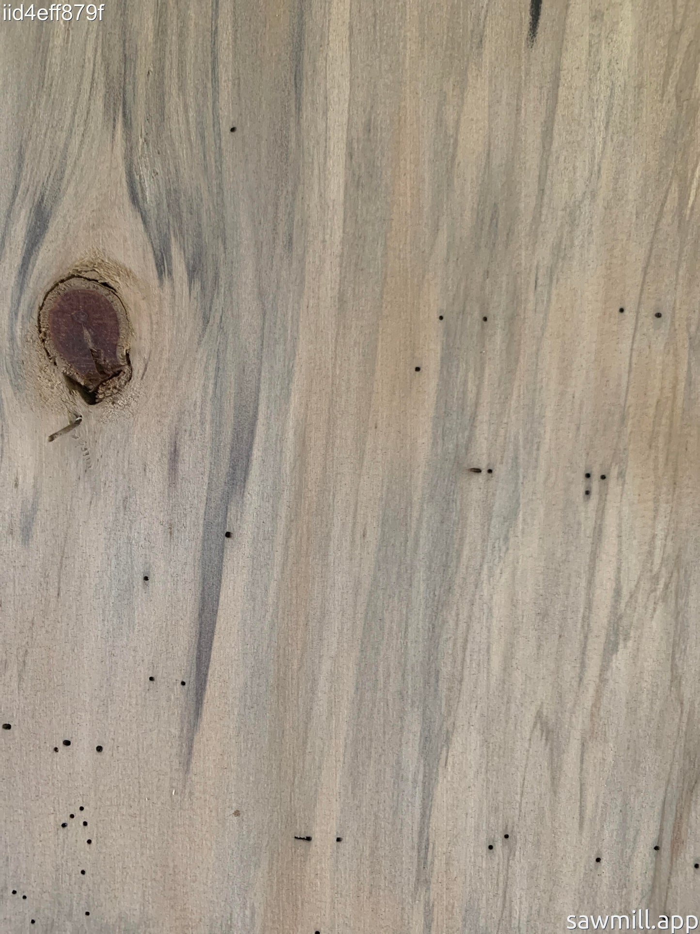 1" x 7" x 71" Norfolk Pine