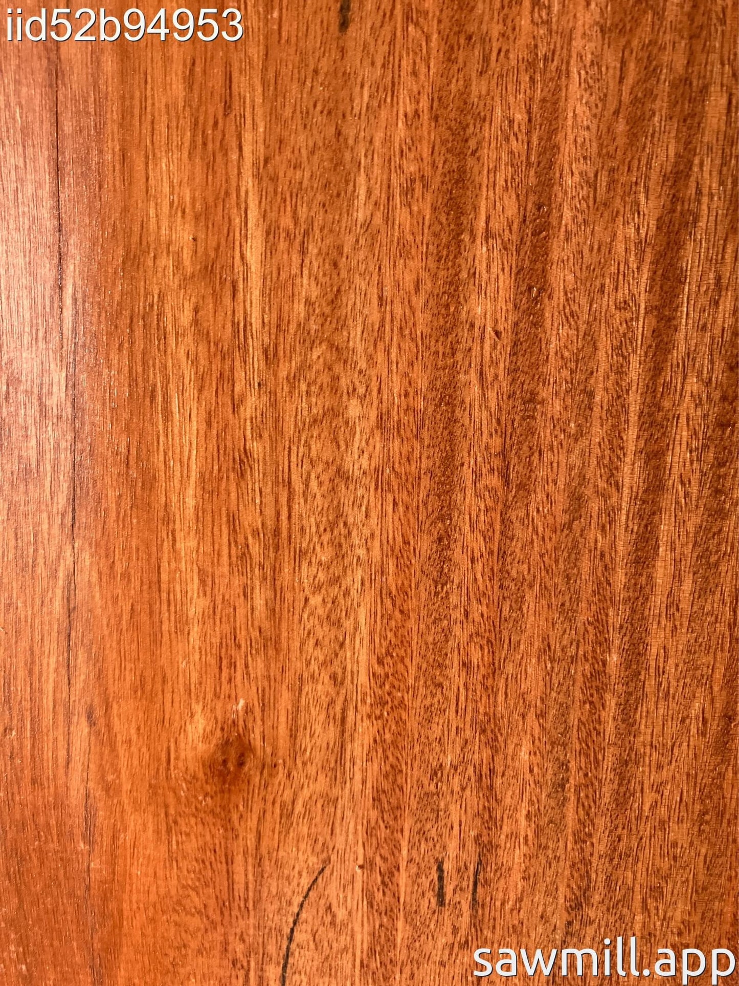 0.75" x 7" x 62" Ironbark Eucalyptus