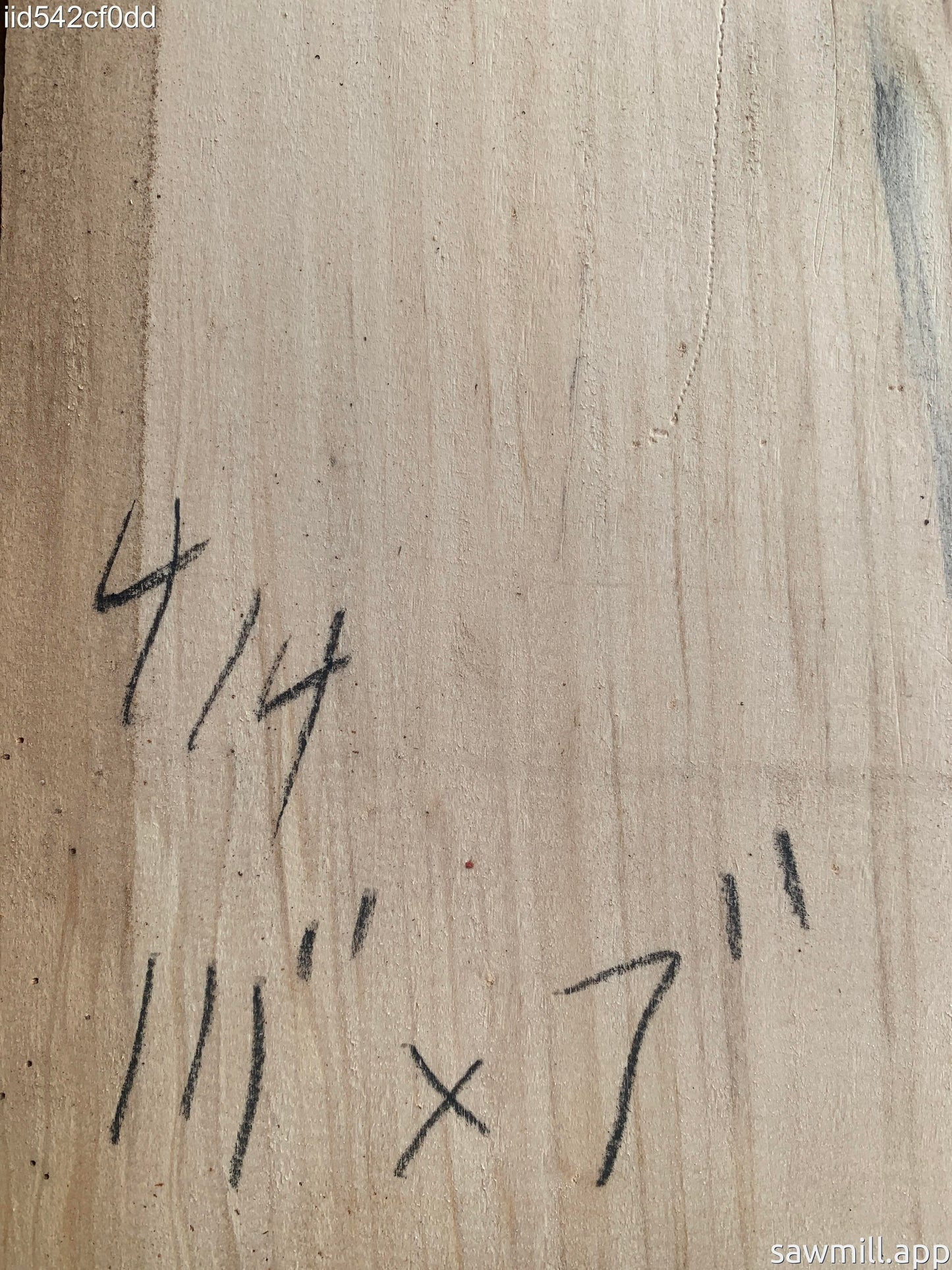 1" x 7" x 111" Norfolk Pine