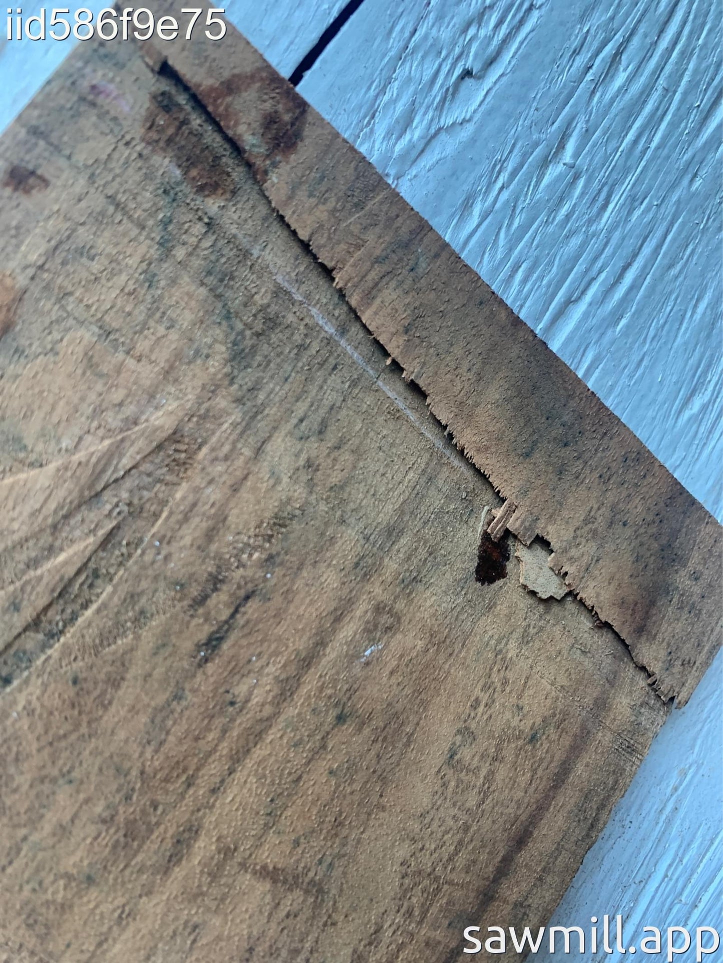 0.25" x 7" x 6" Koa