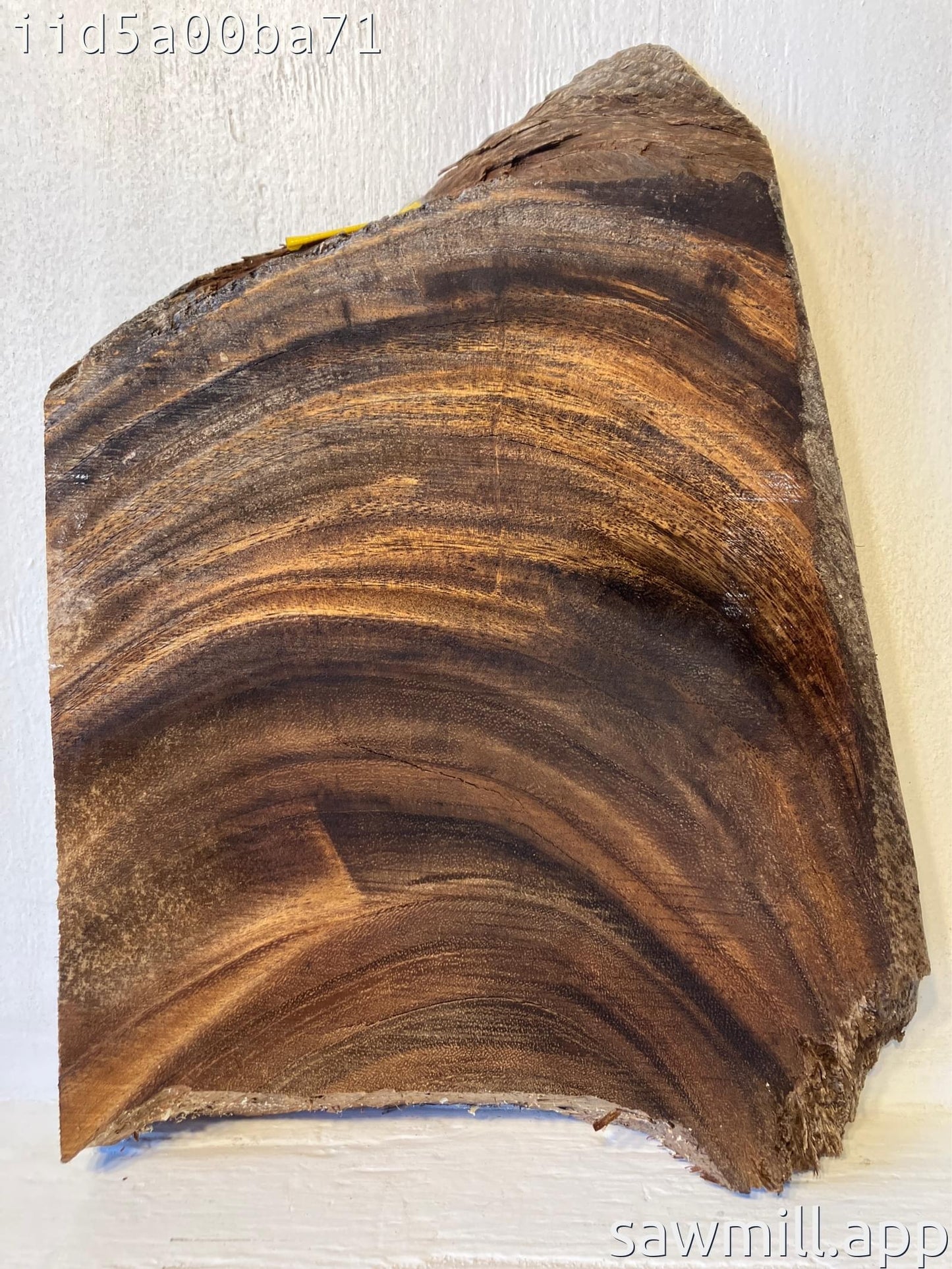2" x 11" x 16" Monkeypod