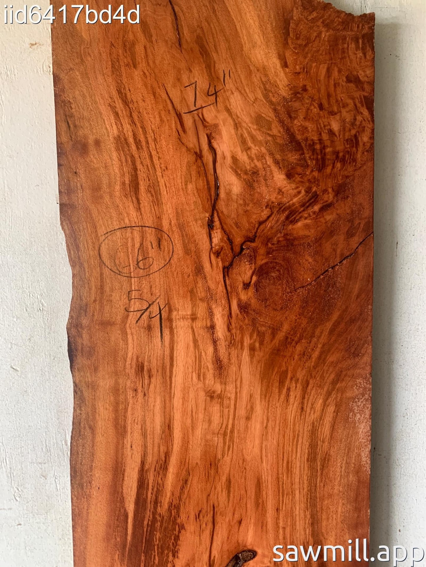 1.25" x 14" x 66" Lychee