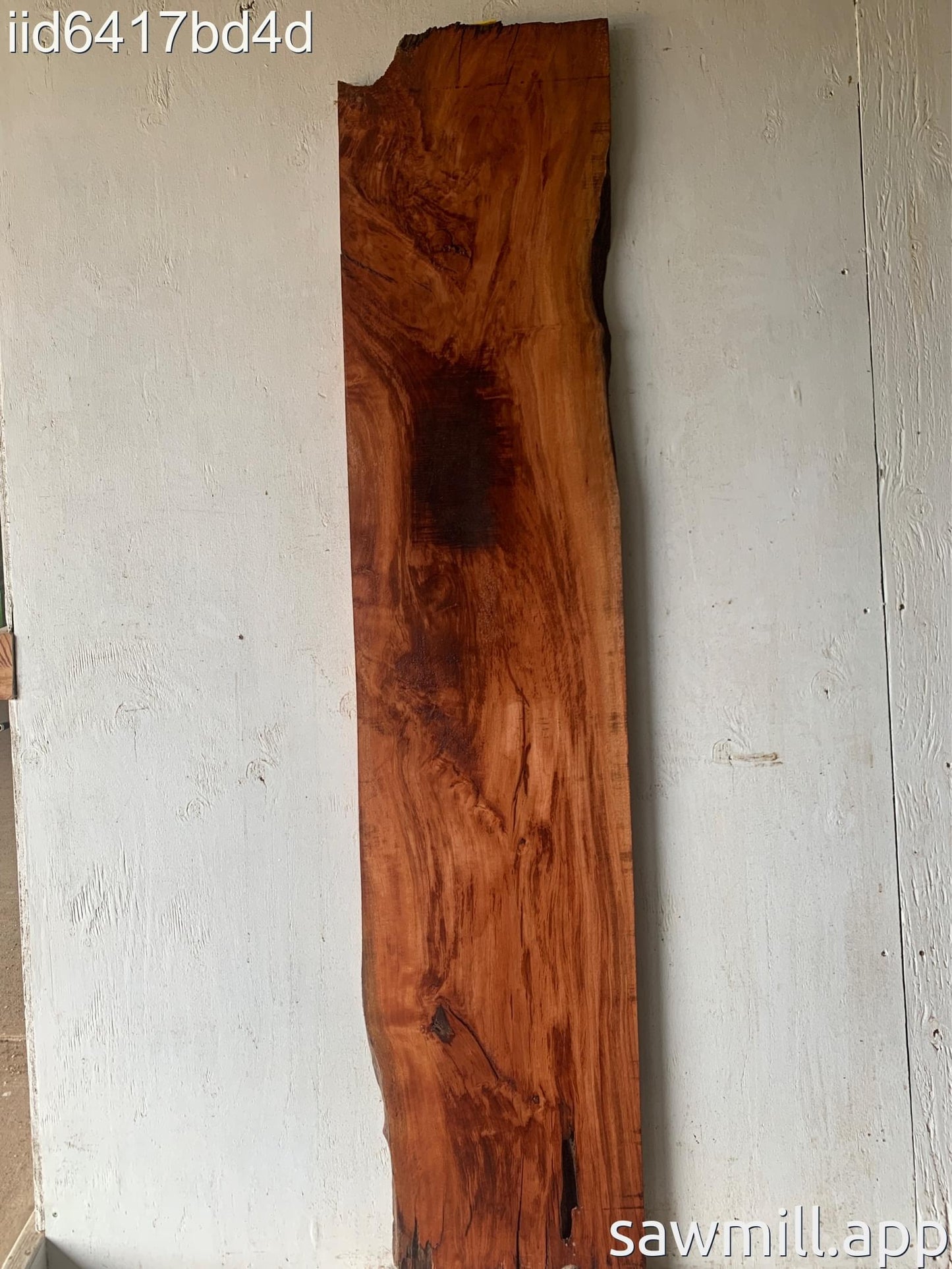 1.25" x 14" x 66" Lychee