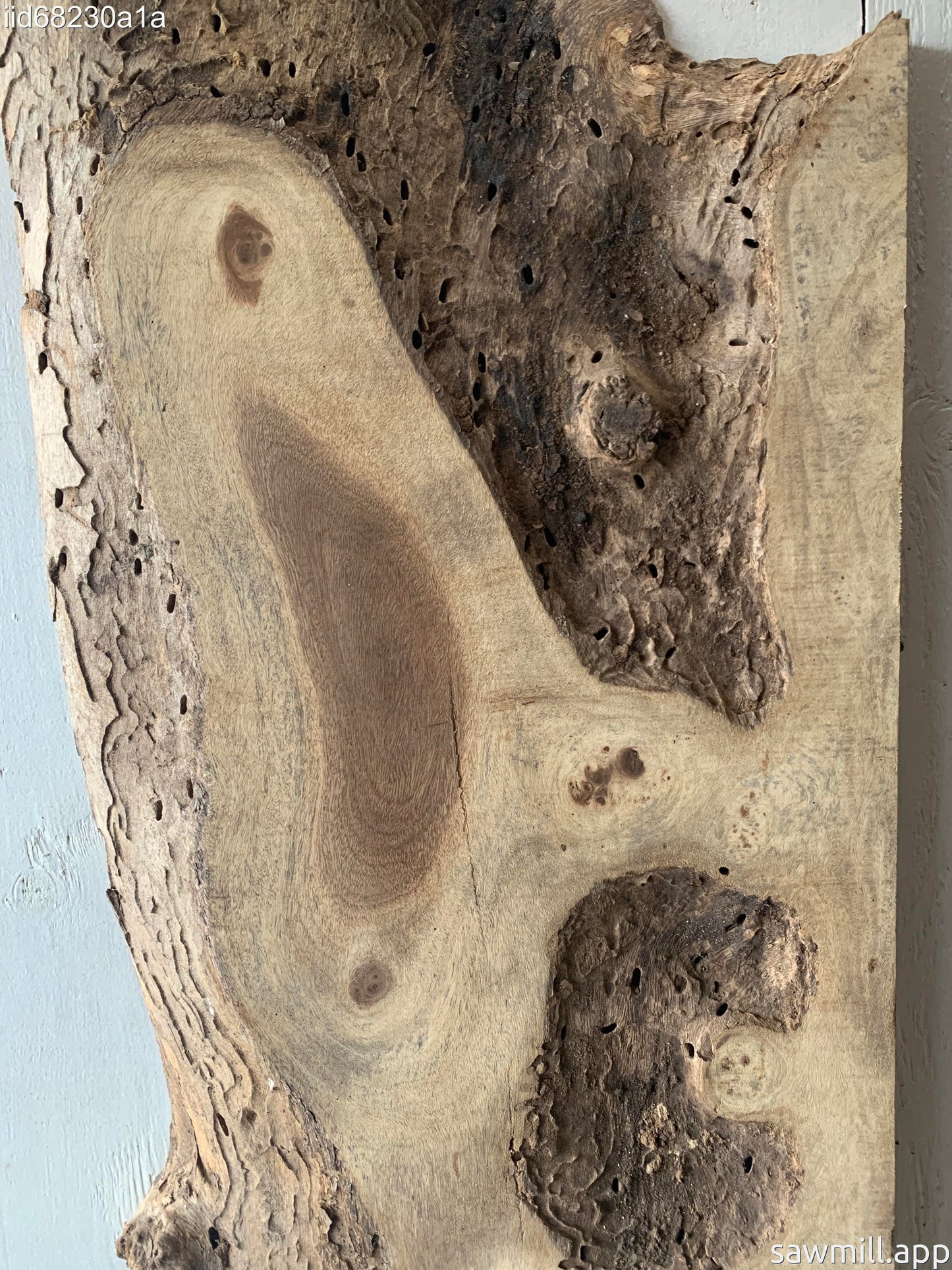 2.25" x 21" x 54" Monkeypod