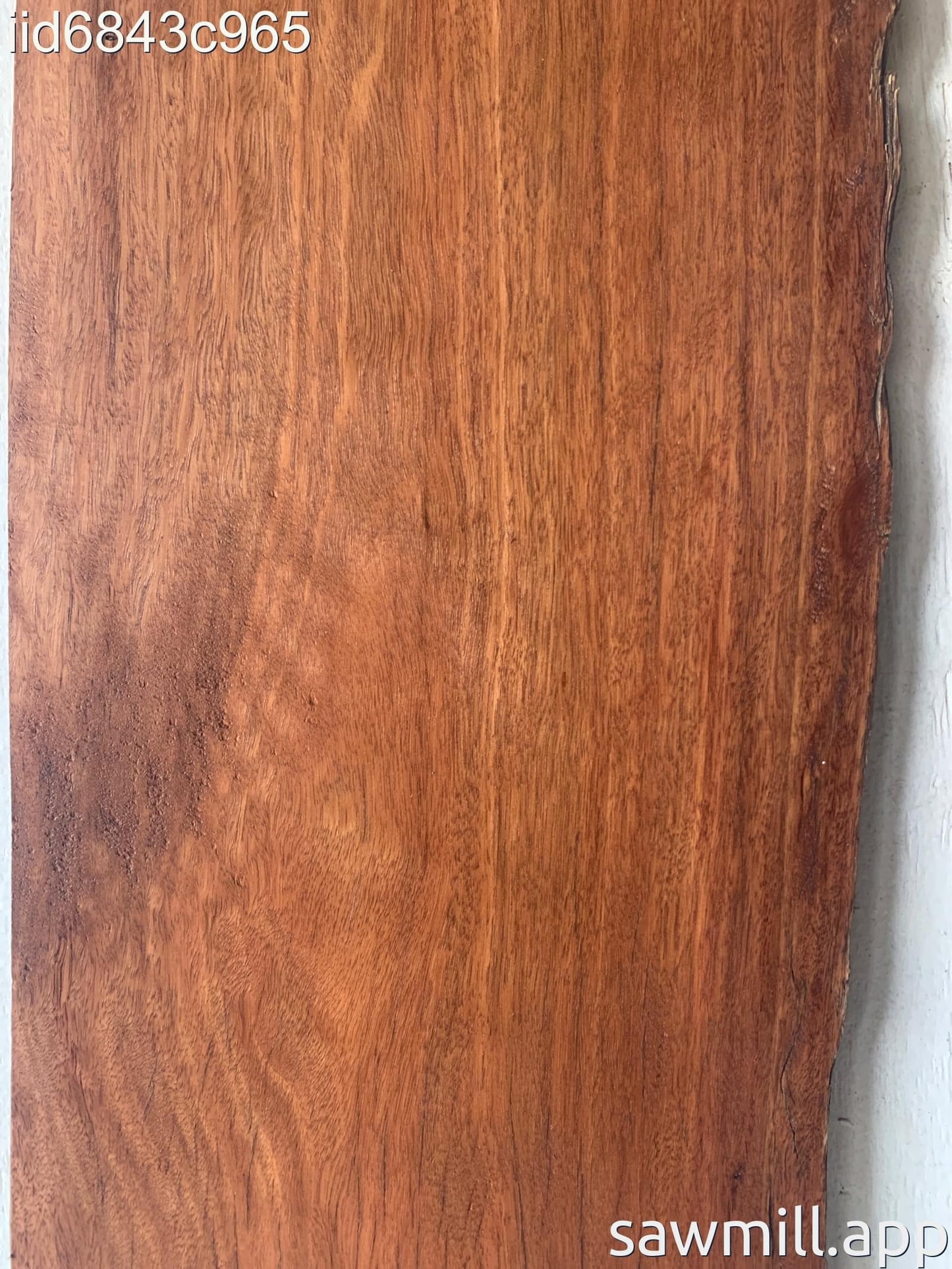 0.75" x 10" x 48" Ironbark Eucalyptus