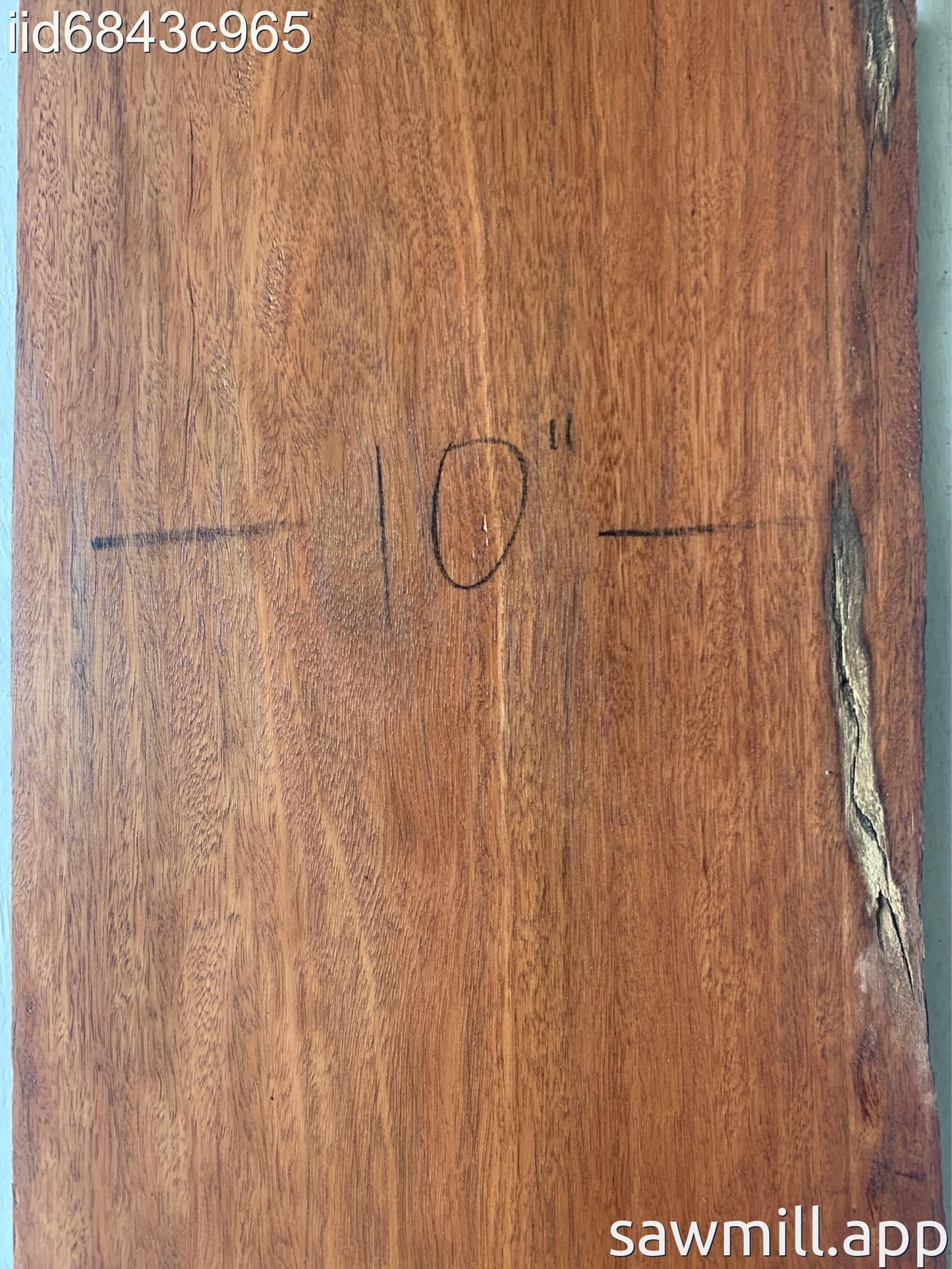 0.75" x 10" x 48" Ironbark Eucalyptus