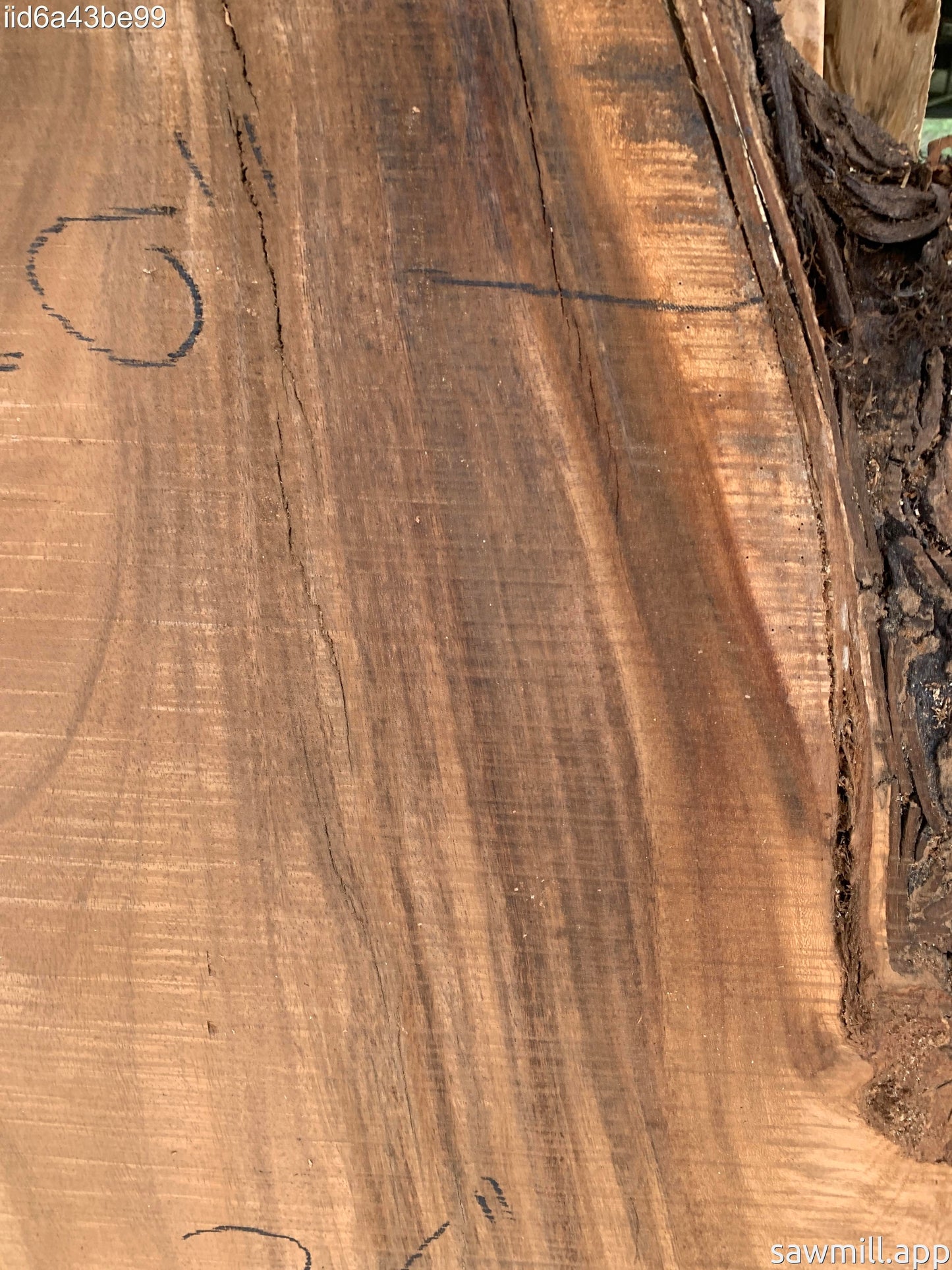 4" x 26" x 48" Monkeypod