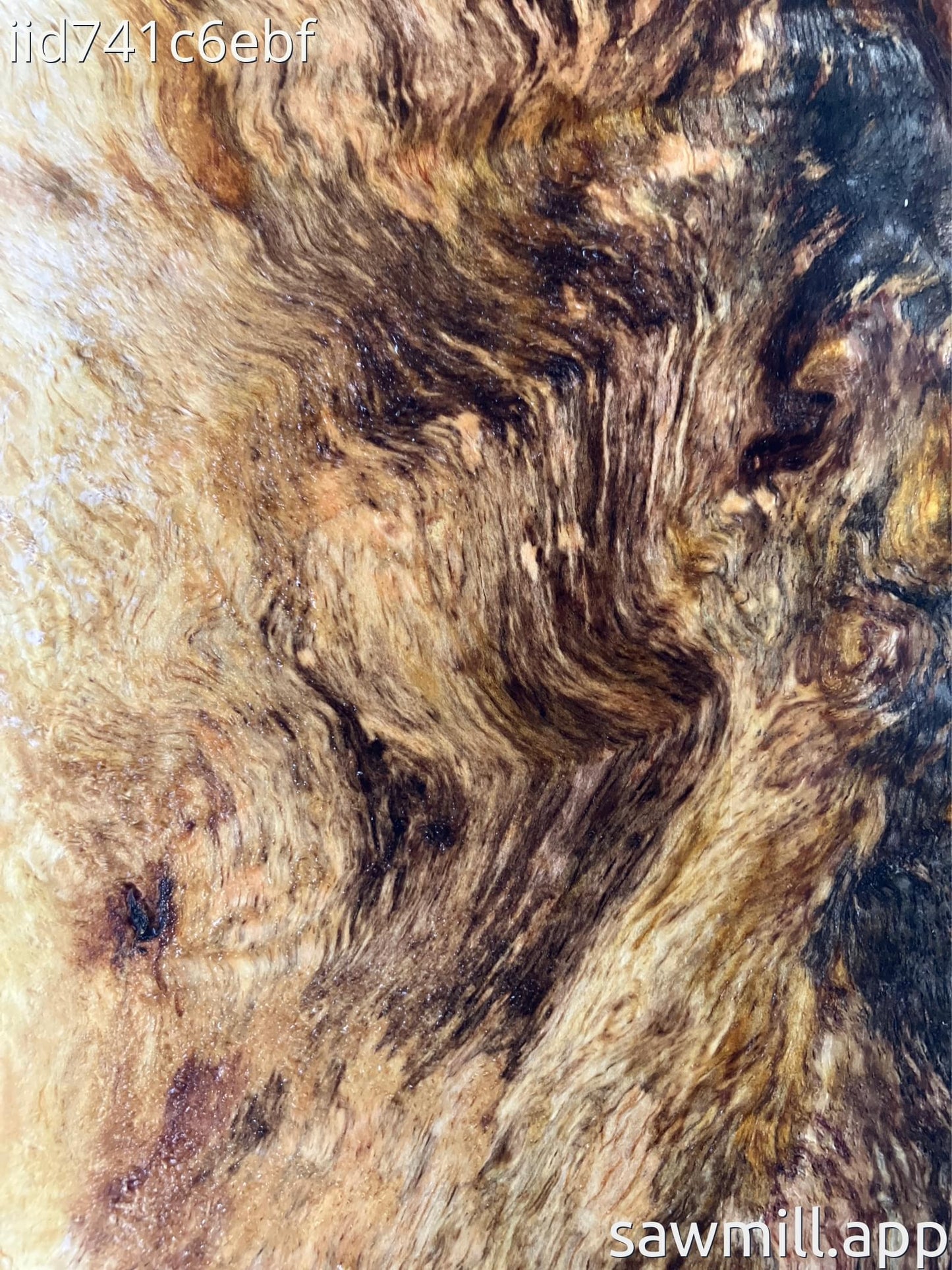 1.5" x 6" x 32" Mango