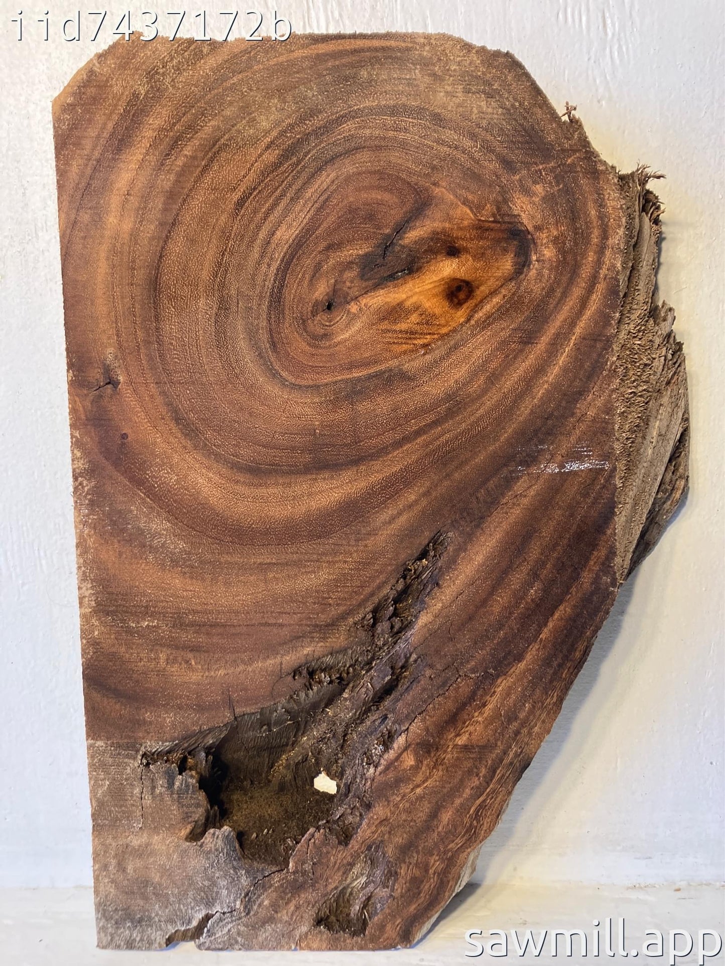 2" x 13" x 17" Monkeypod