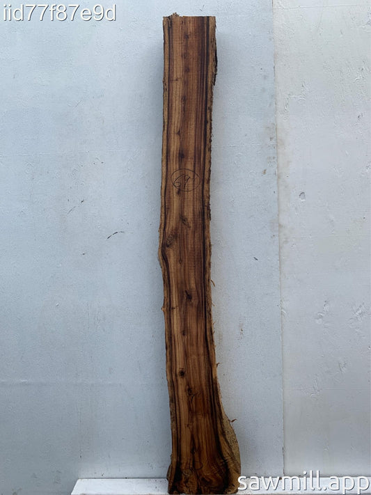 3.5" x 7" x 69" Monkeypod