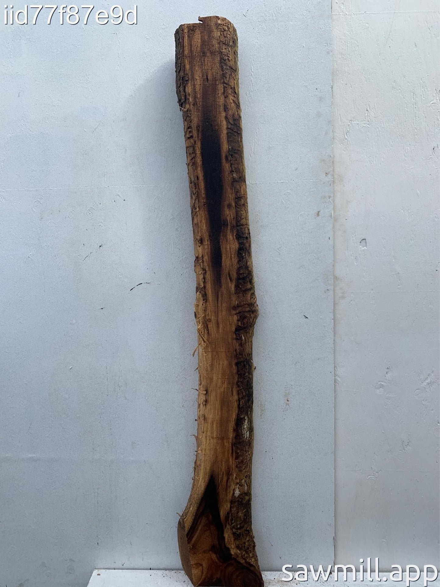 3.5" x 7" x 69" Monkeypod