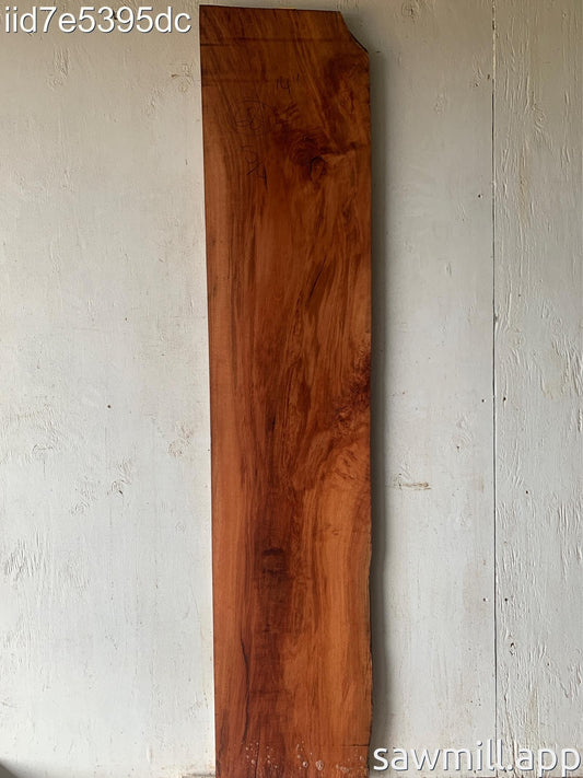 1.25" x 14" x 68" Lychee