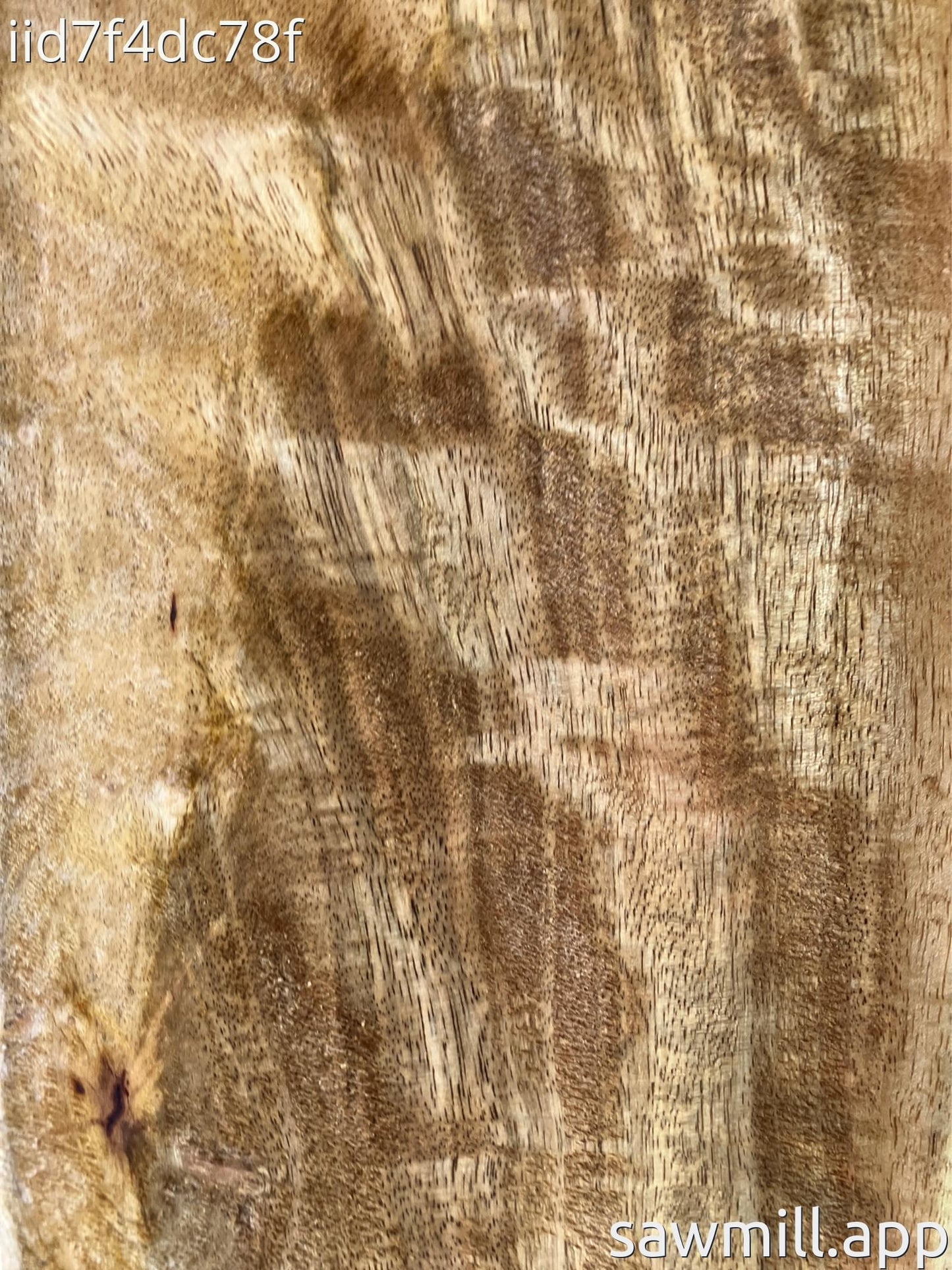 1" x 7" x 44" Mango