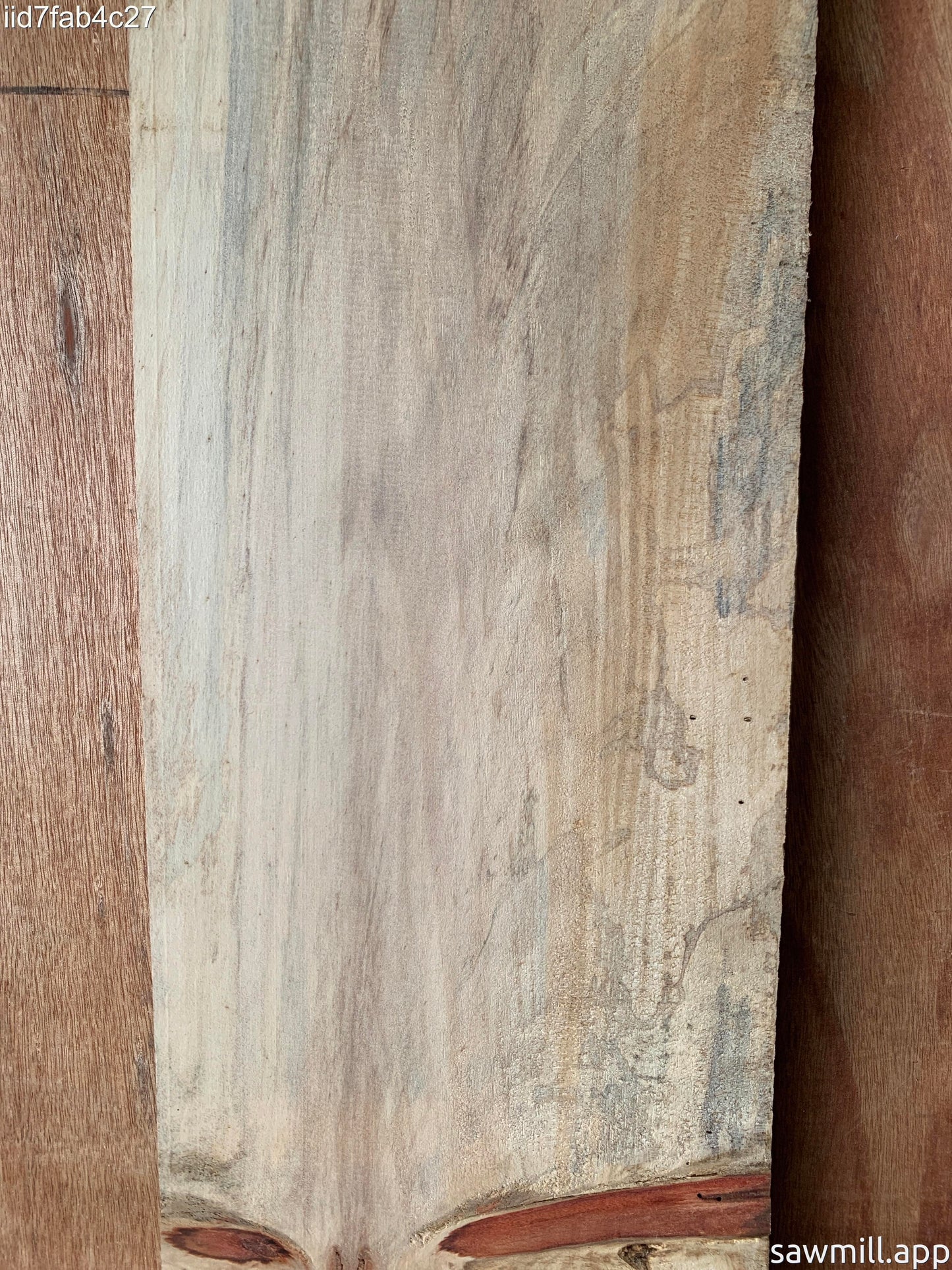 1" x 7" x 43" Norfolk Pine