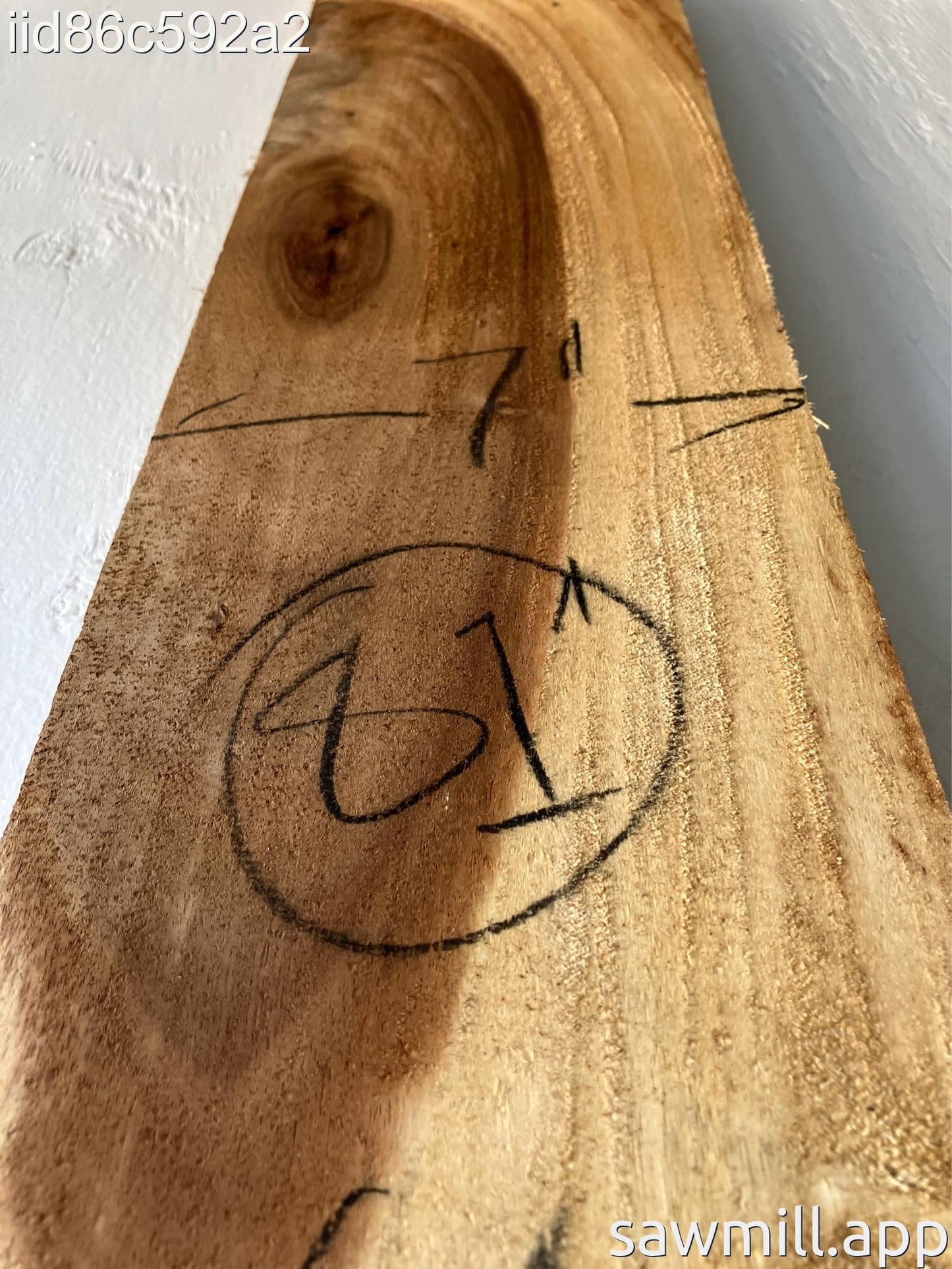 1.5" x 7" x 81" Monkeypod