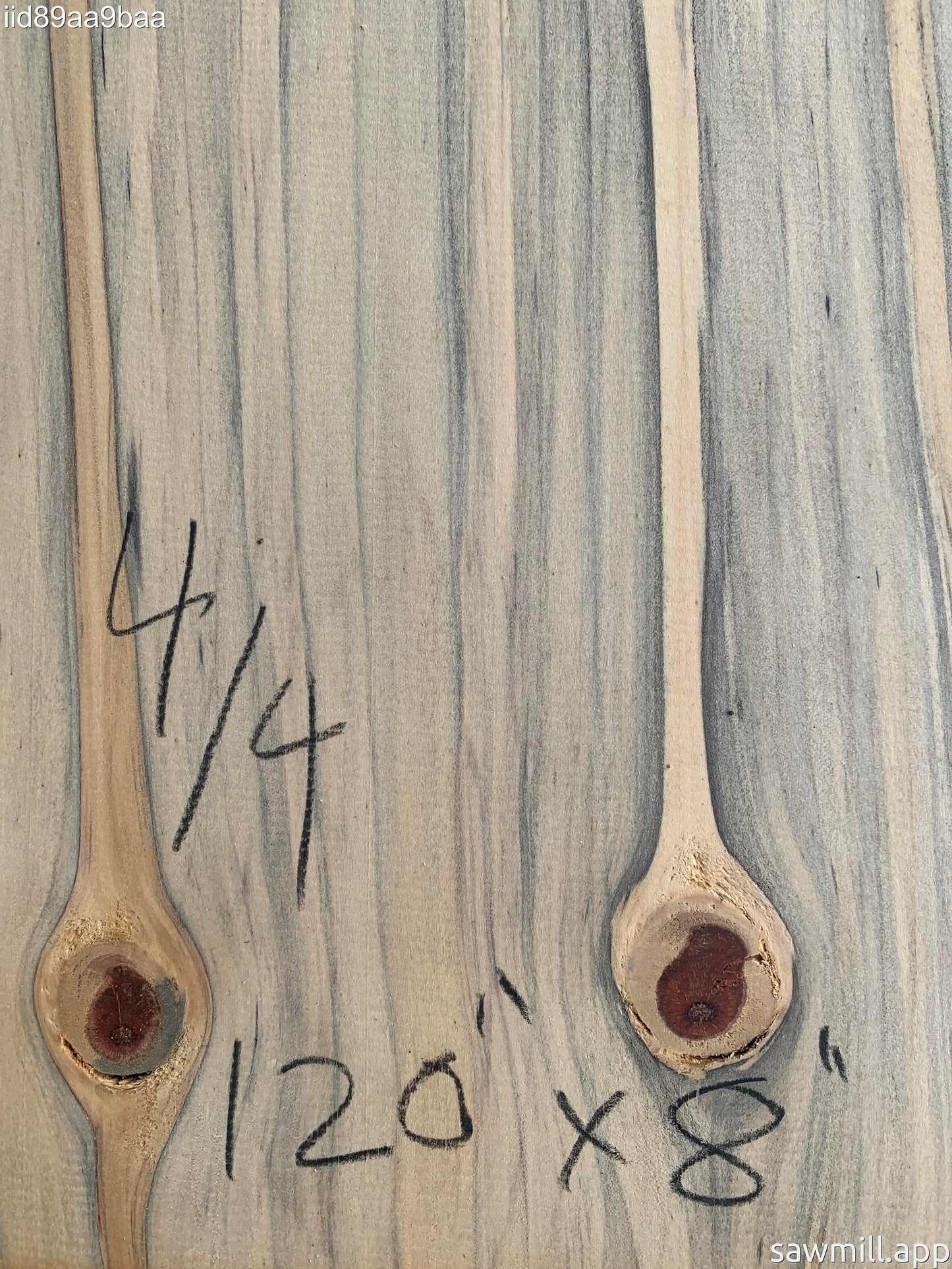 1" x 8" x 120" Norfolk Pine
