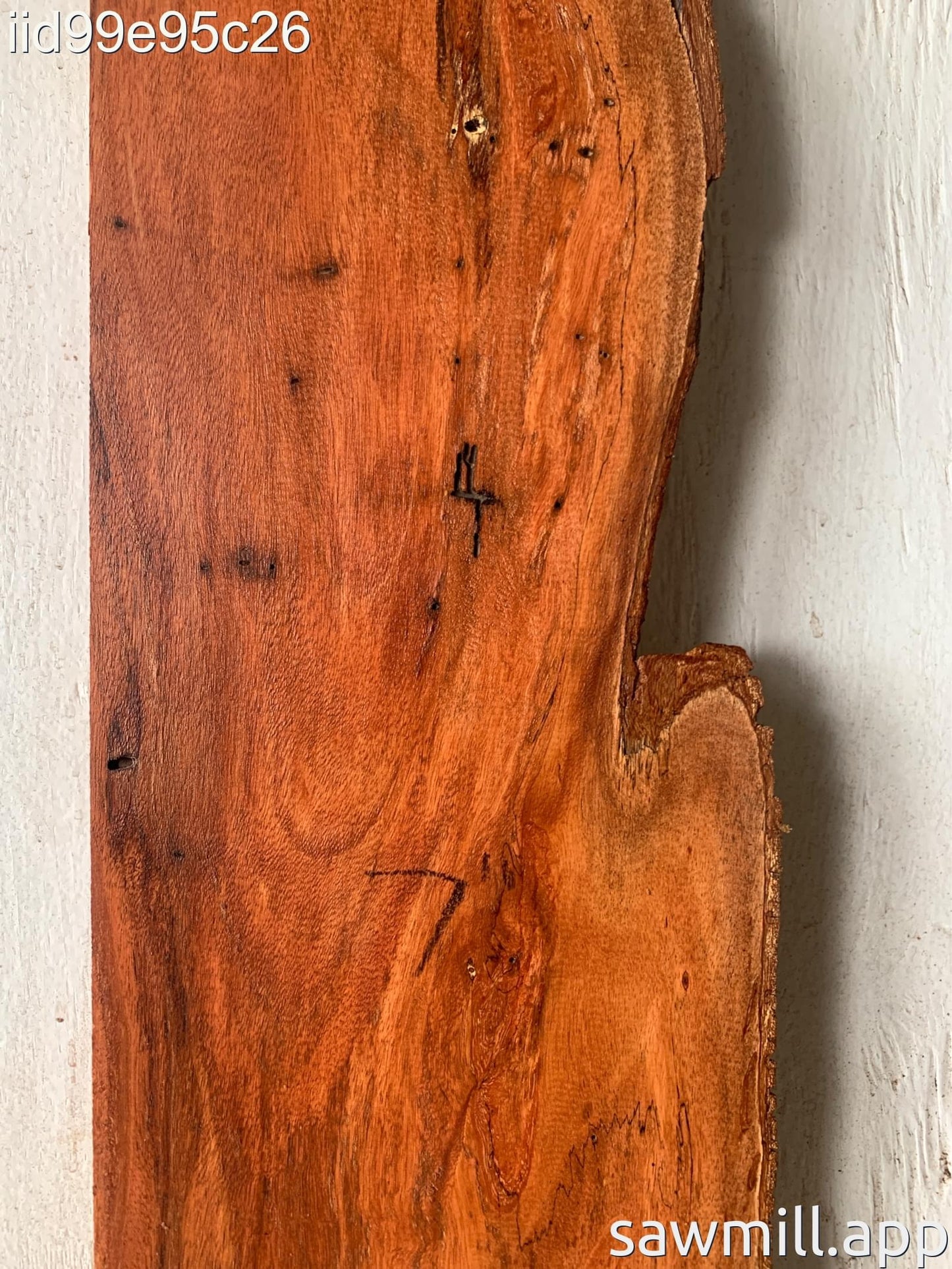 1.5" x 7" x 45" Lychee