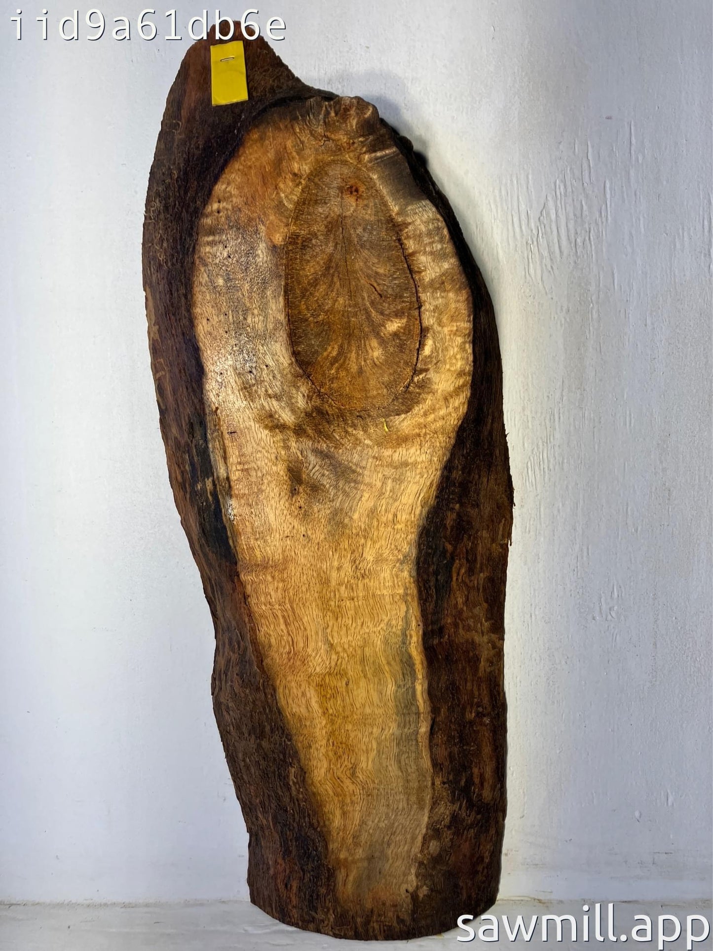 1.75" x 10" x 26" Mango