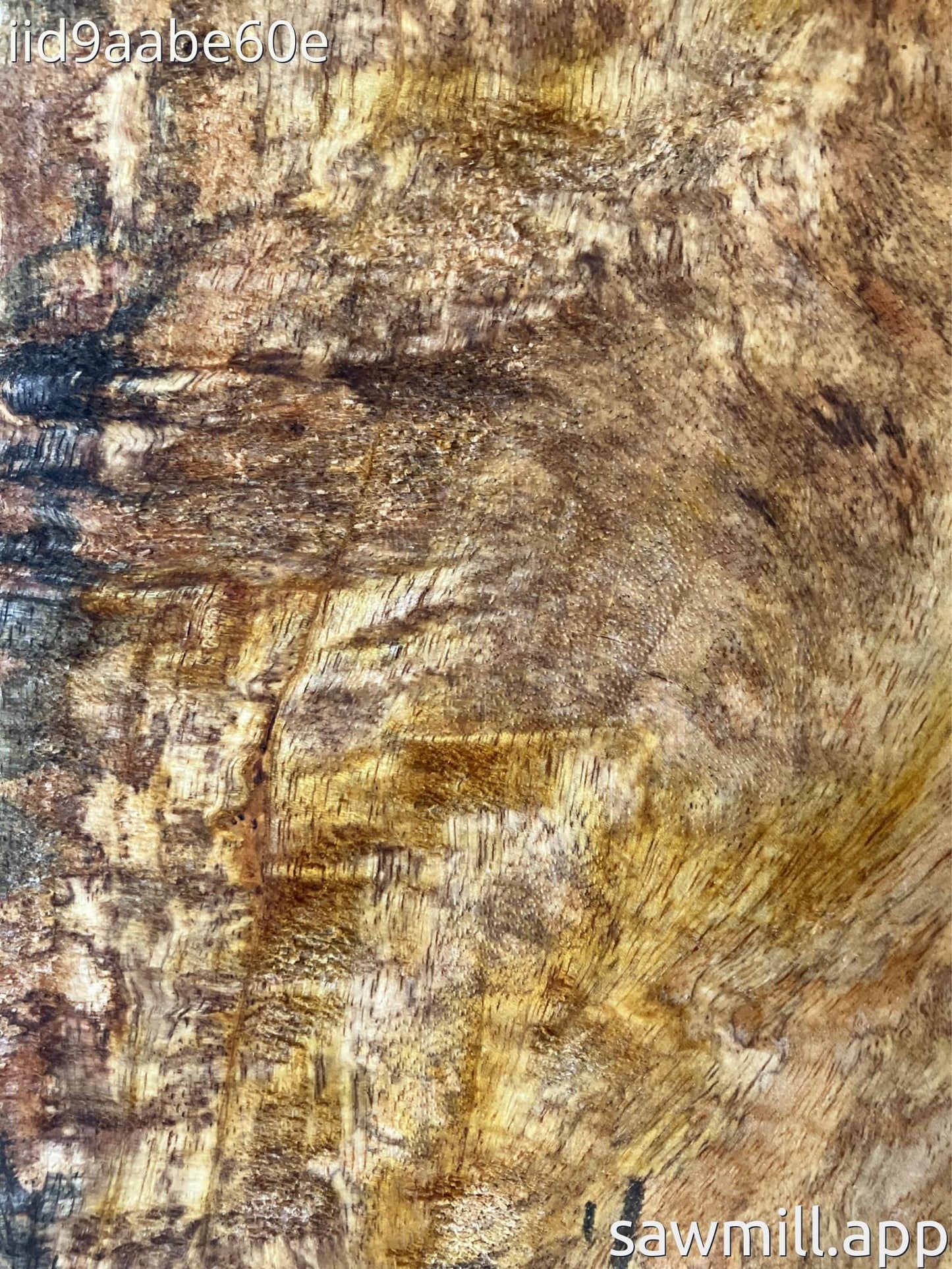 1.5" x 7" x 35" Mango