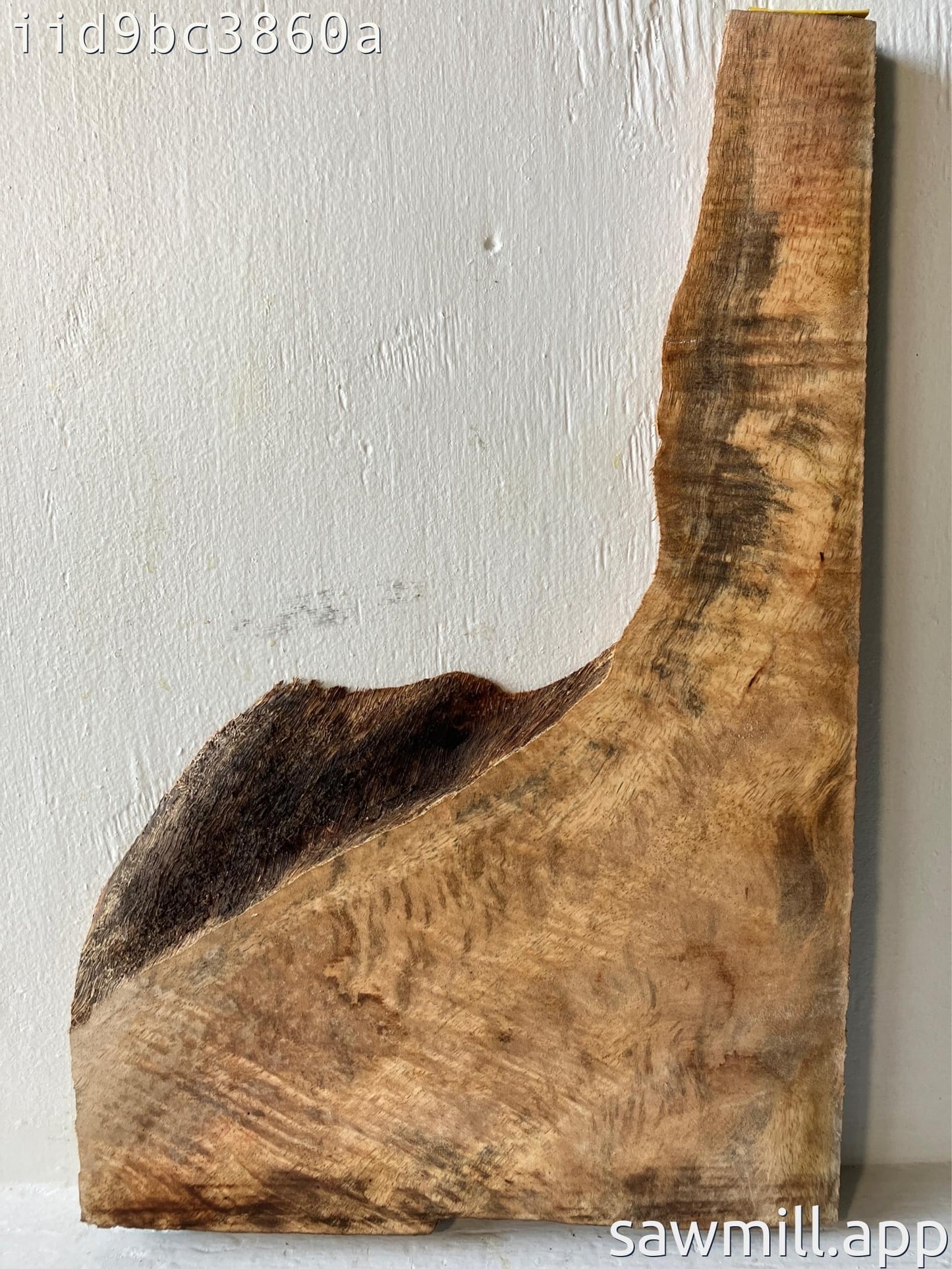 1.5" x 13" x 21" Mango