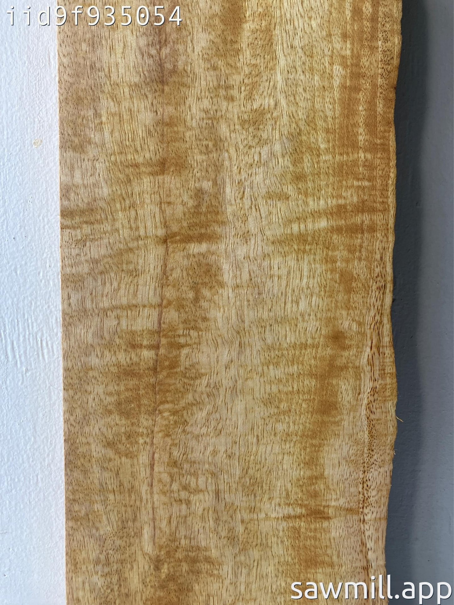 2" x 7" x 34" Mango