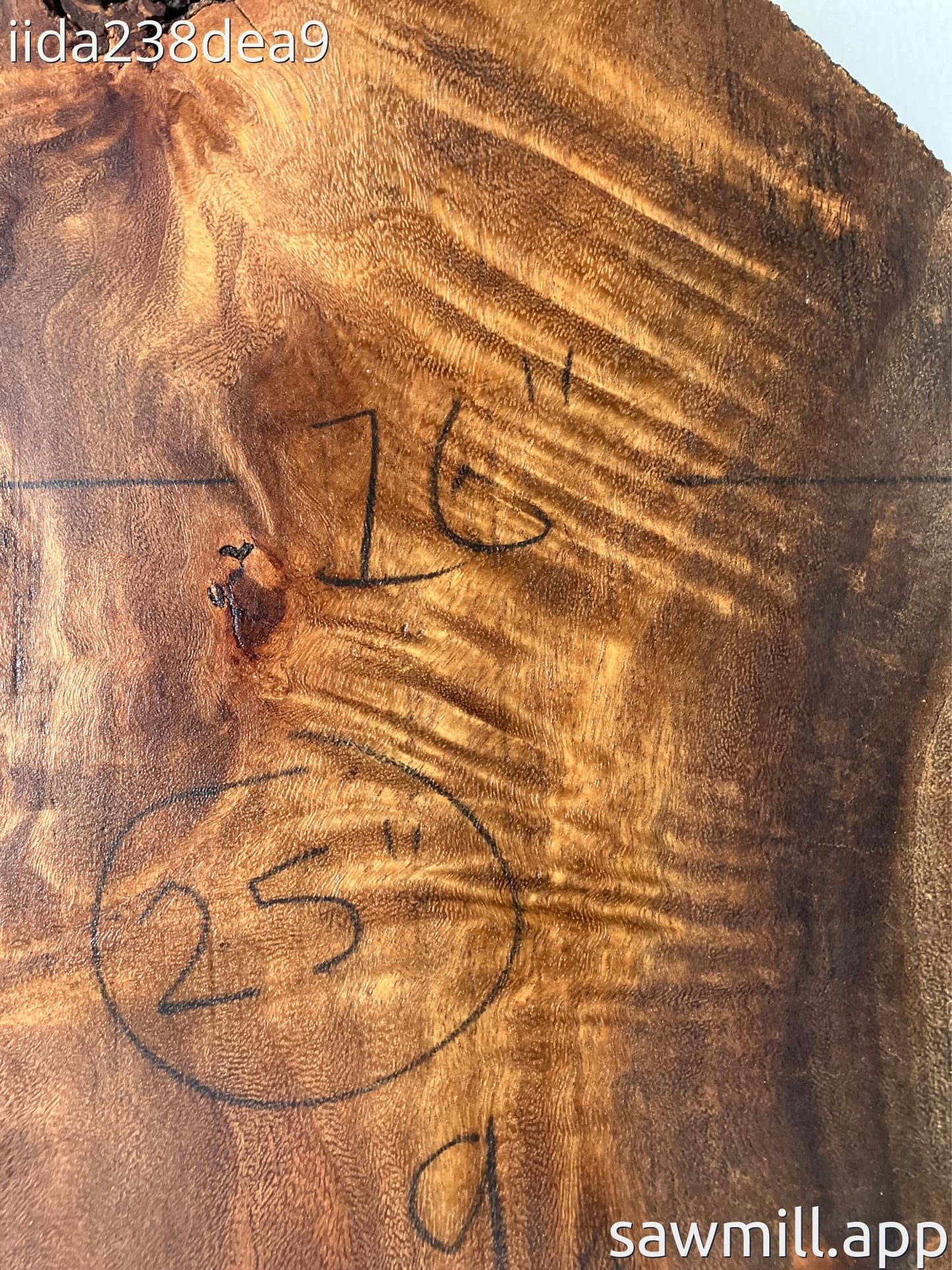 2.25" x 25" x 25" Monkeypod