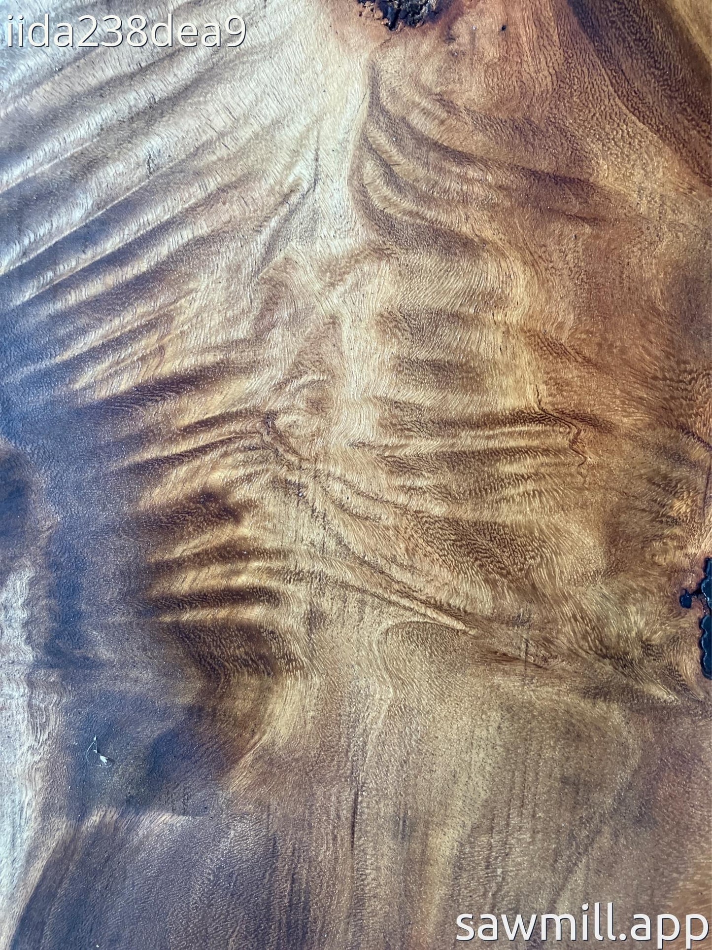 2.25" x 25" x 25" Monkeypod