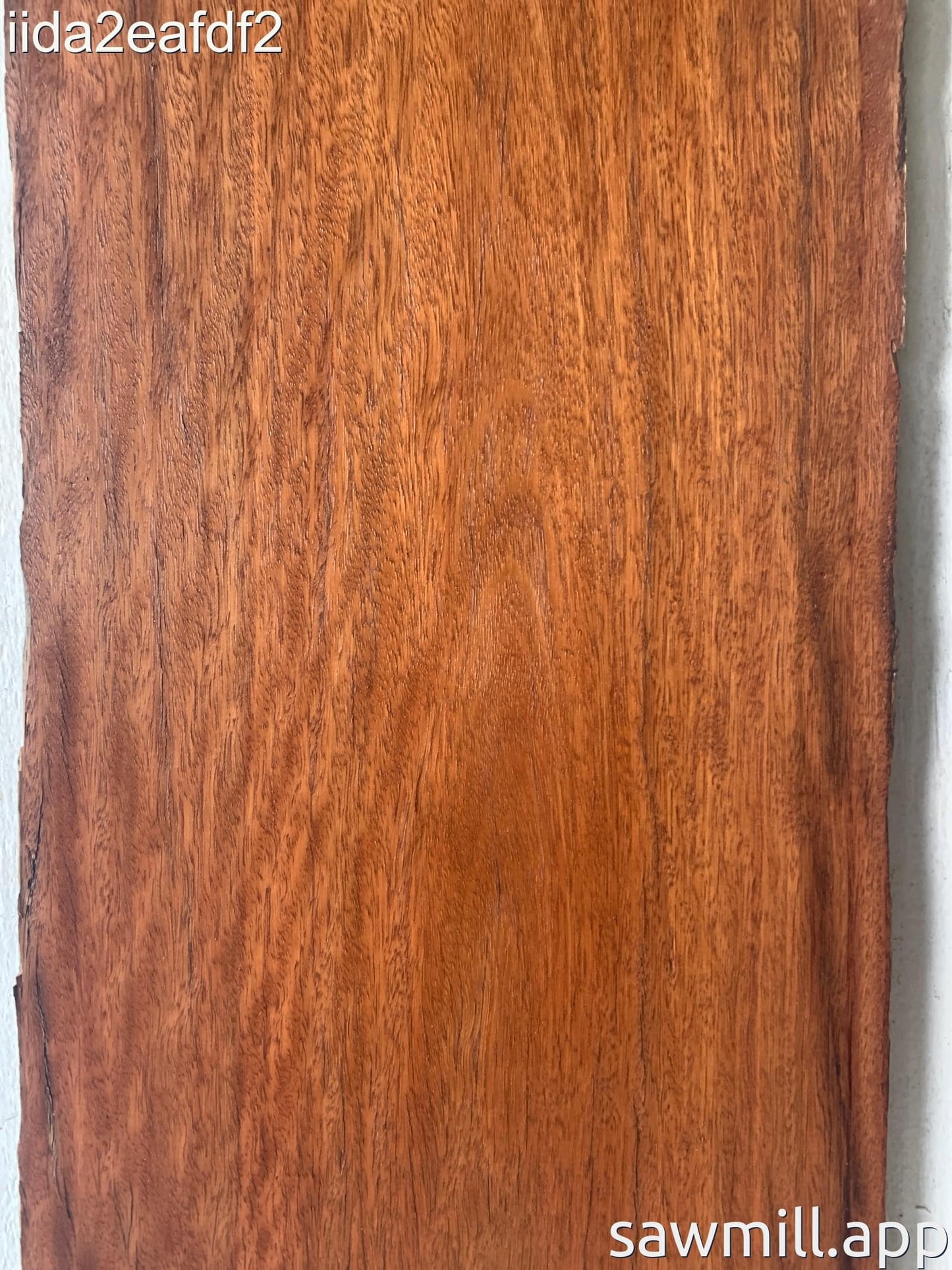 0.75" x 10" x 62" Ironbark Eucalyptus