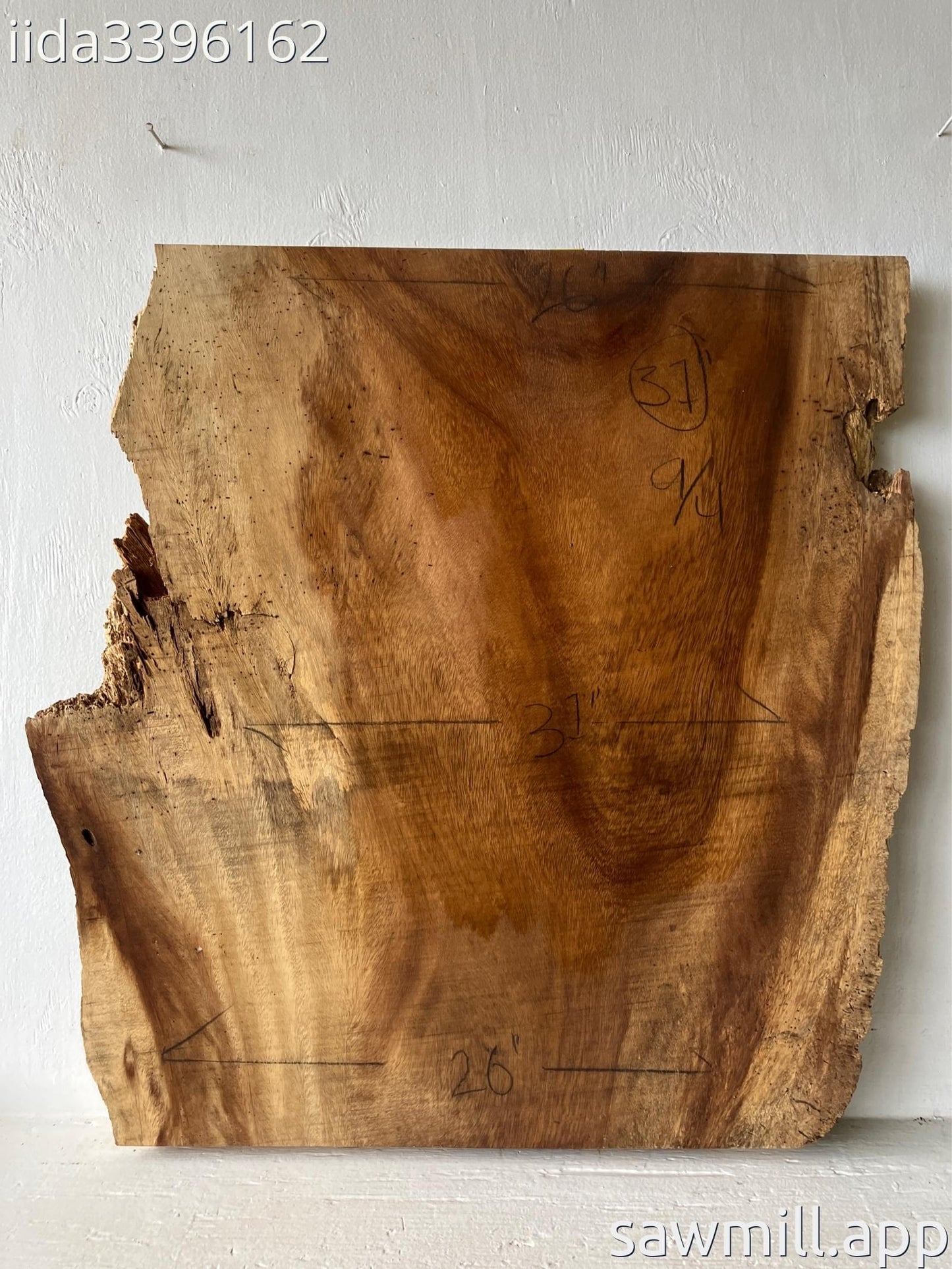 2.25" x 31" x 31" Monkeypod