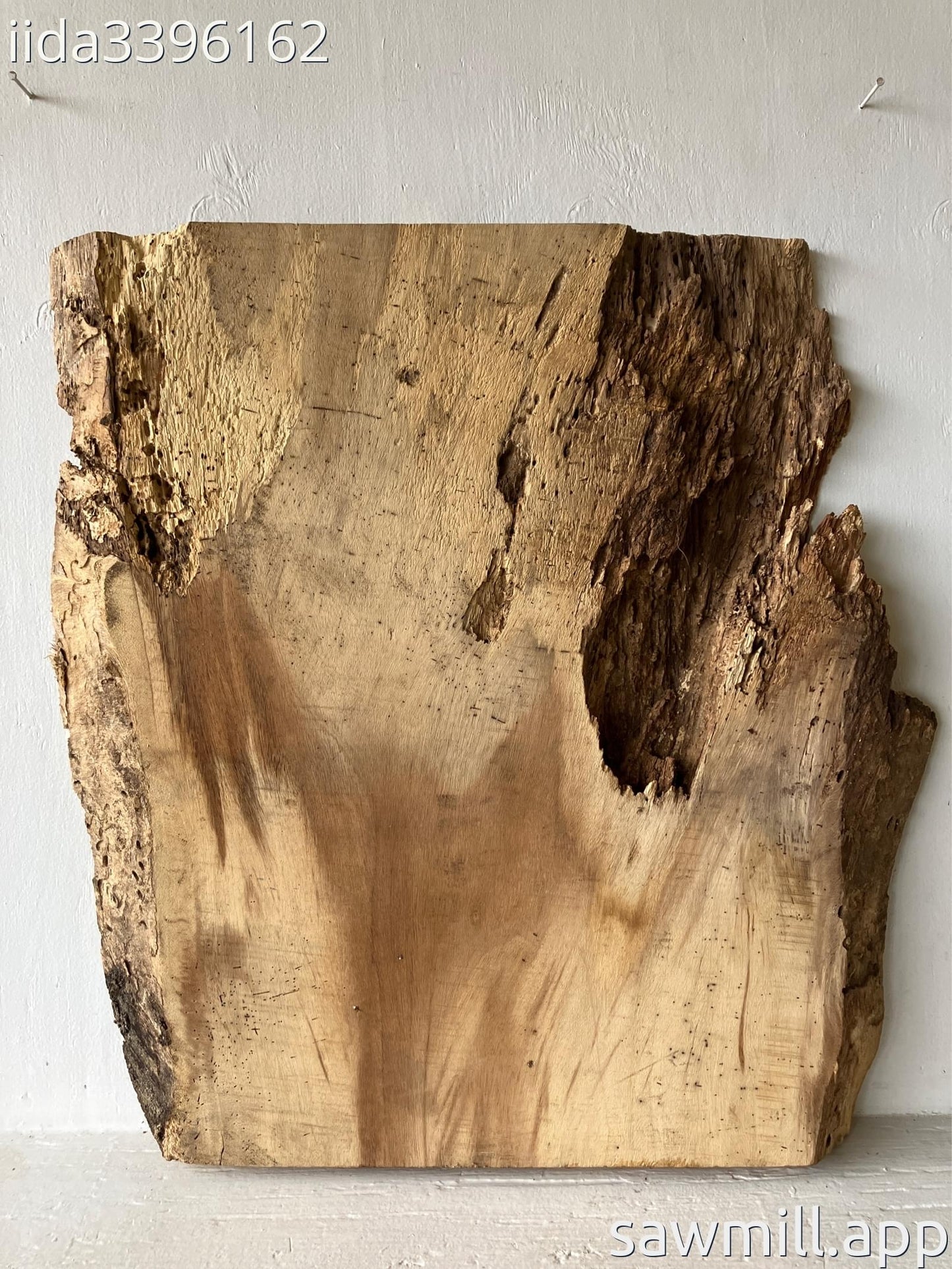 2.25" x 31" x 31" Monkeypod