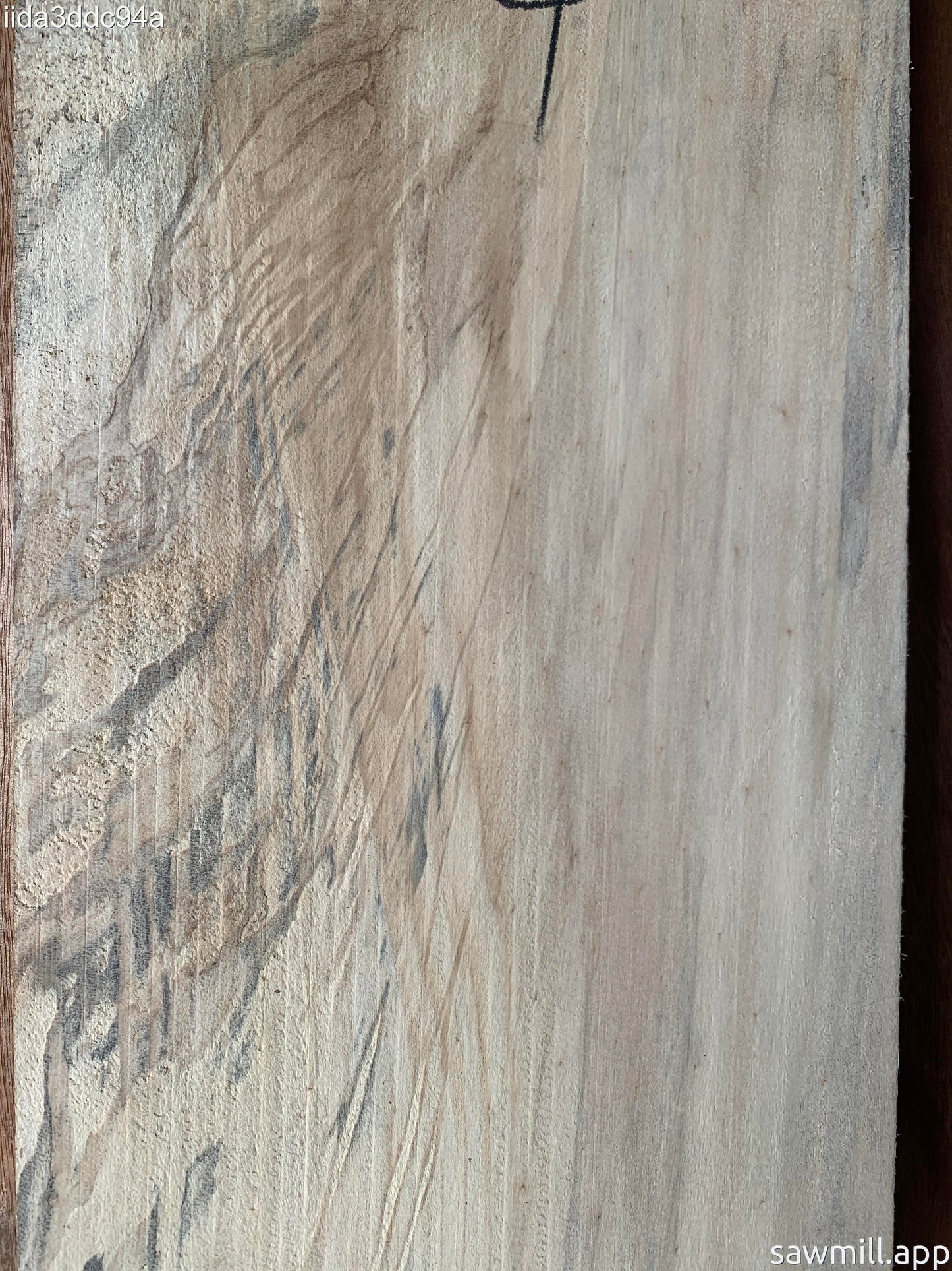 1" x 8" x 43" Norfolk Pine