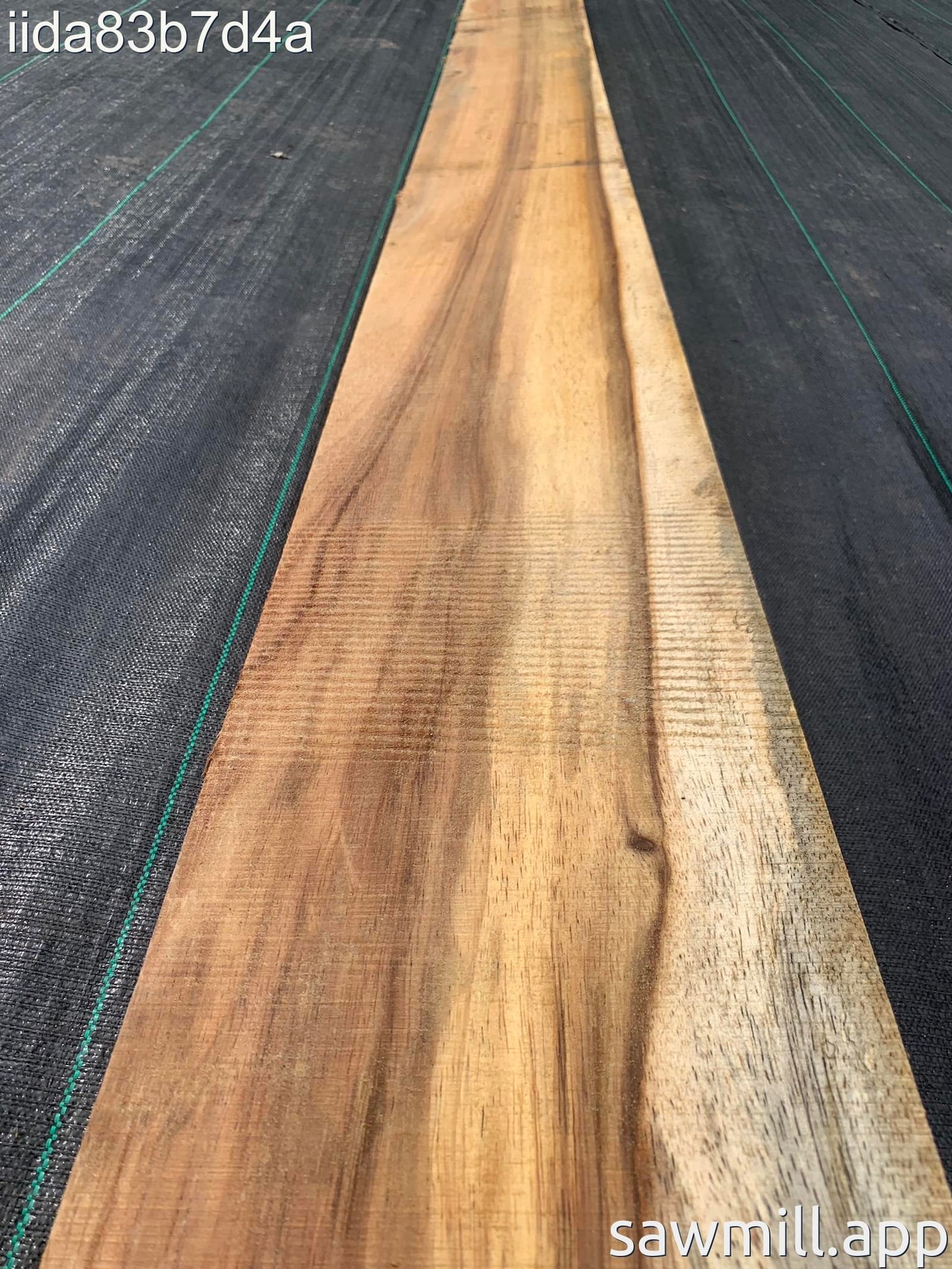 2" x 9" x 143" Chocolate Albizia