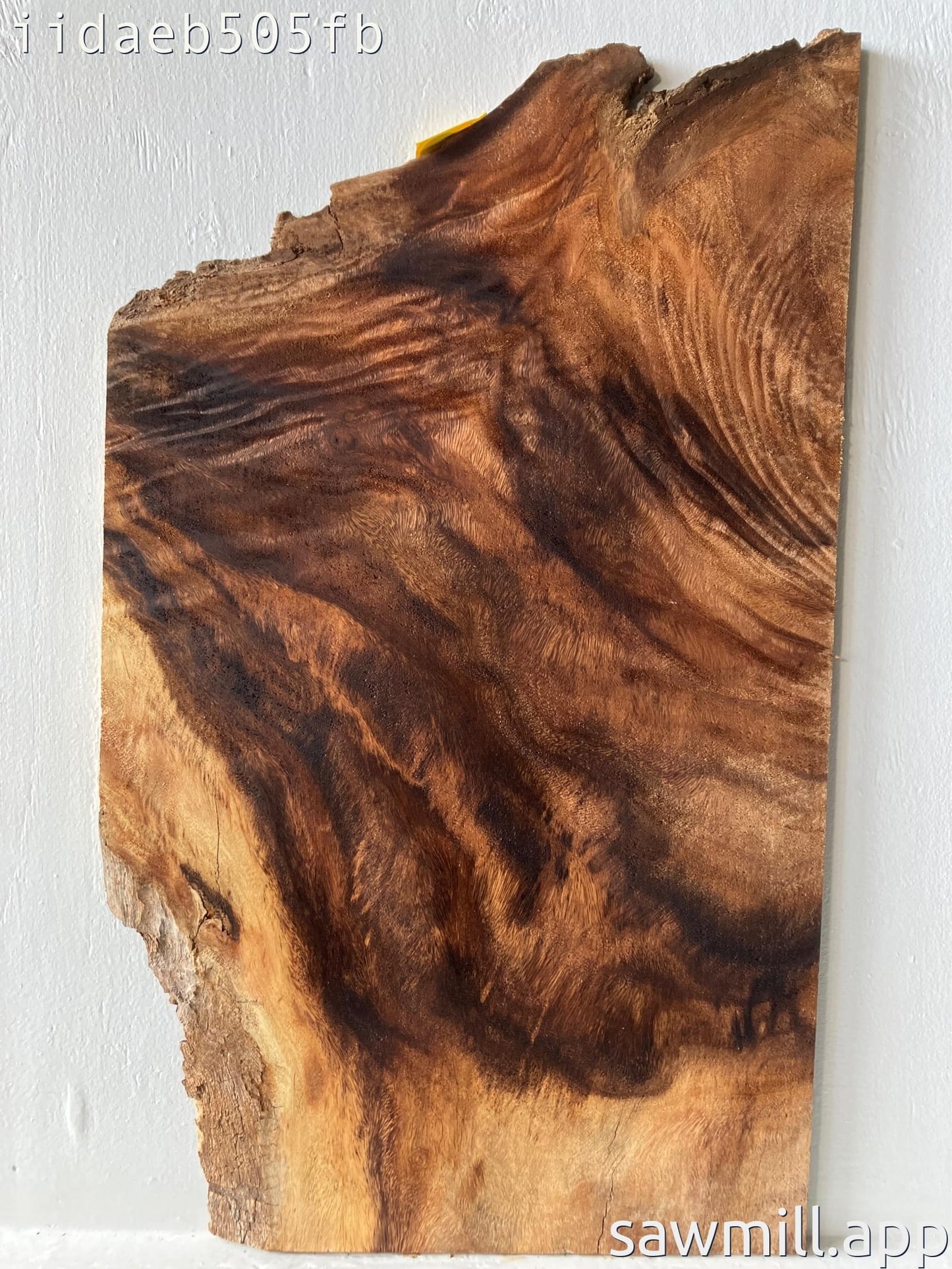 0.5" x 17" x 28" Monkeypod