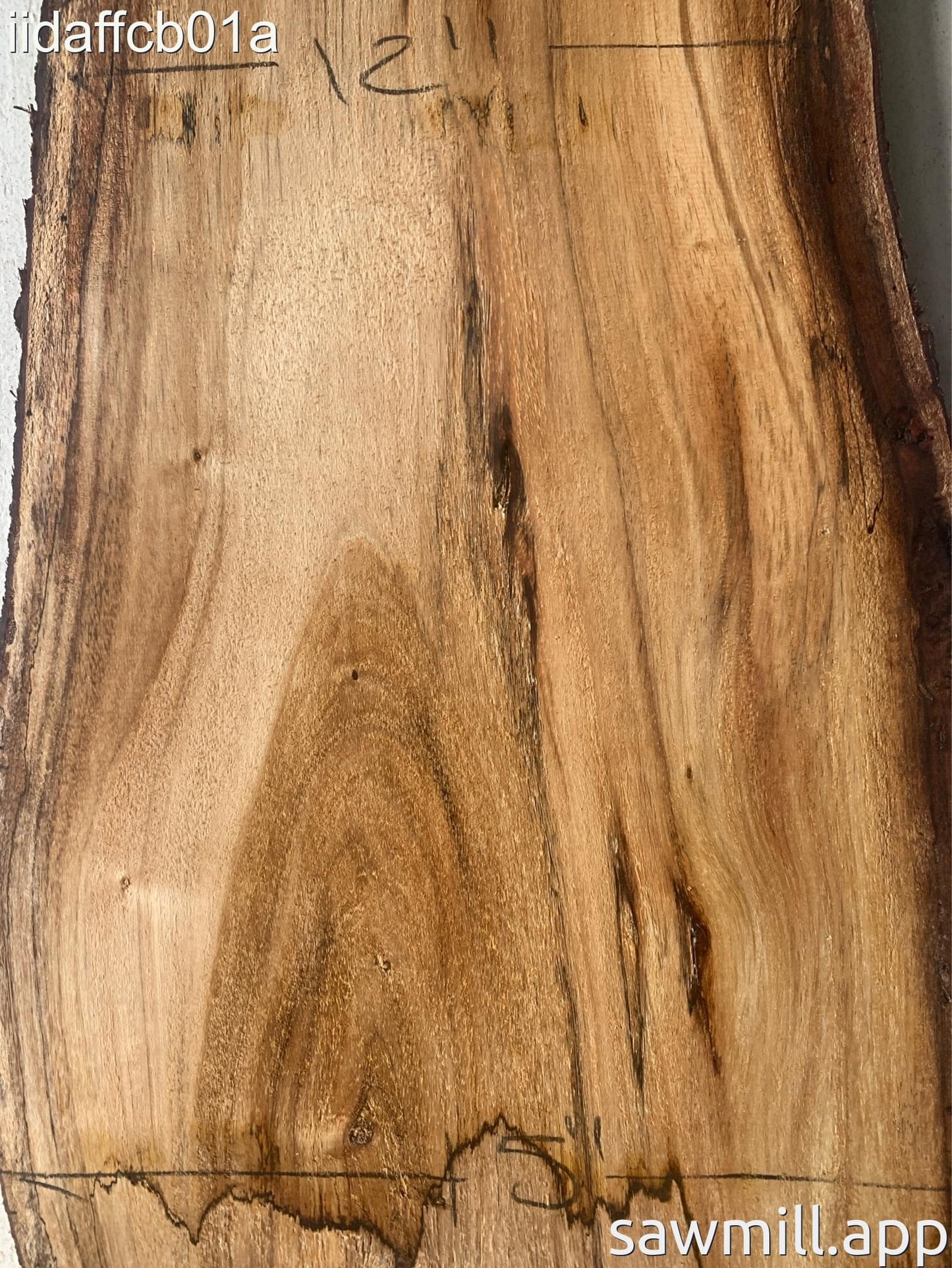 1.5" x 15" x 39" Koa