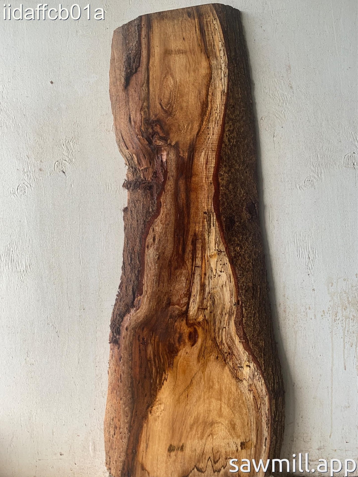 1.5" x 15" x 39" Koa