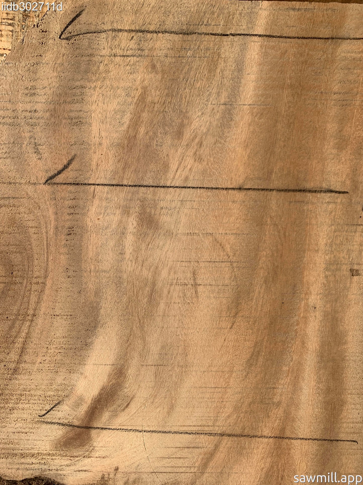 2" x 26" x 19" Monkeypod