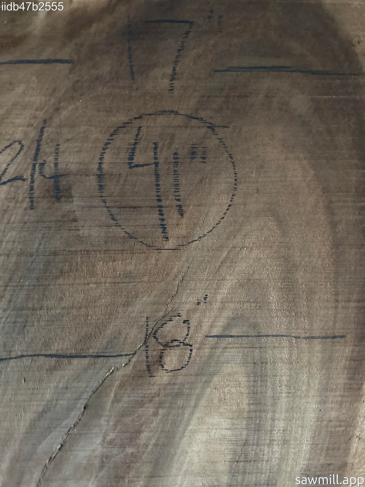 3" x 19" x 41" Monkeypod