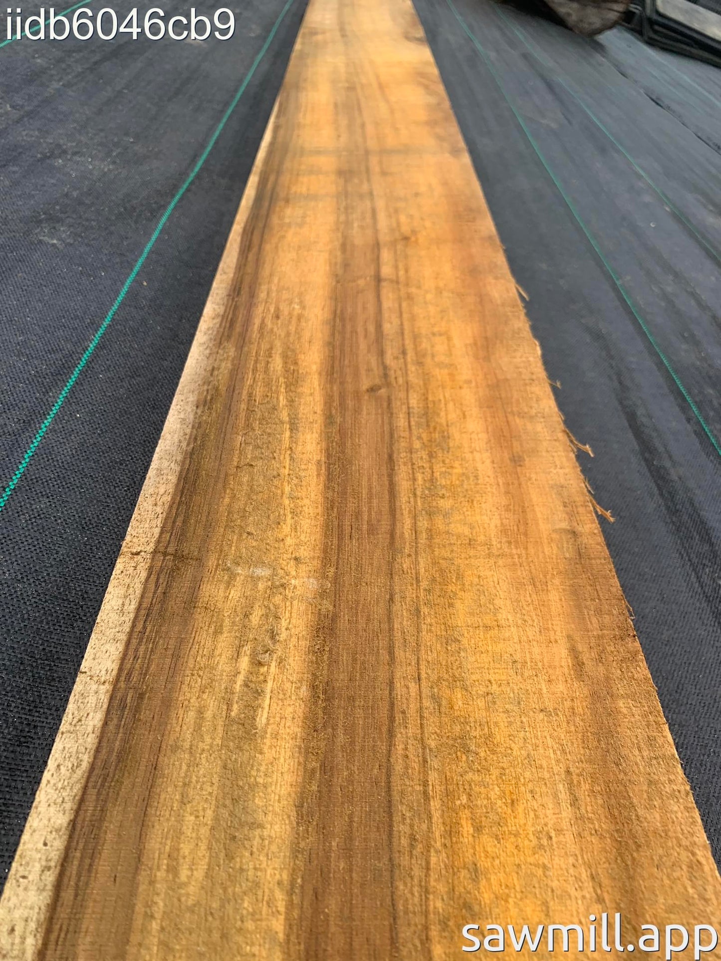 2" x 8" x 144" Chocolate Albizia