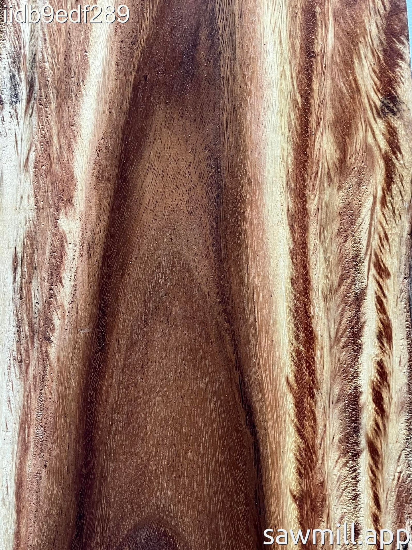 1.5" x 16" x 101" Monkeypod