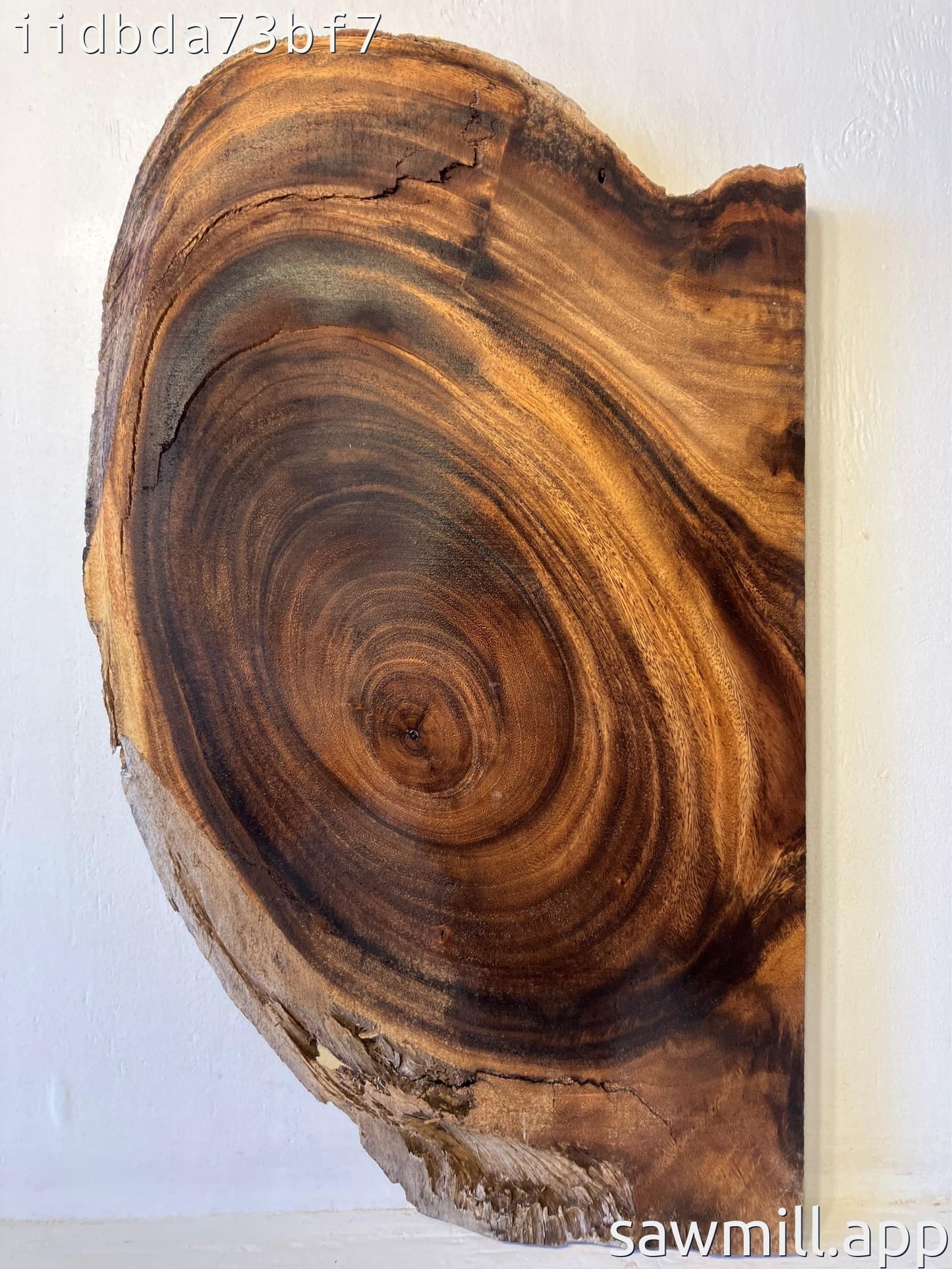 2" x 16" x 27" Monkeypod