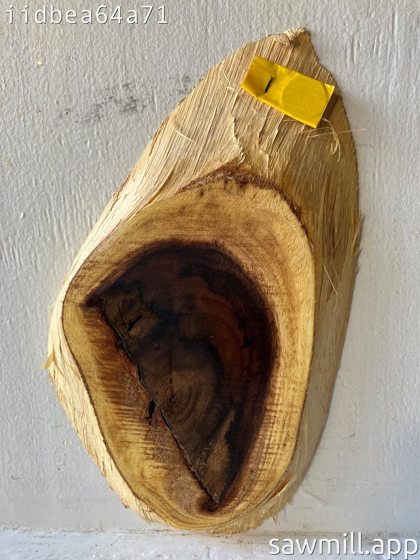1" x 7" x 12" Monkeypod