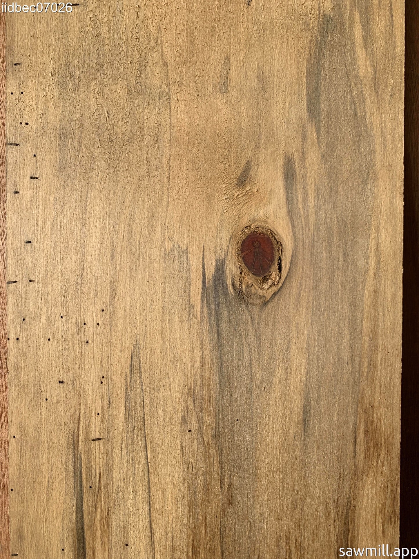 1" x 8" x 40" Norfolk Pine
