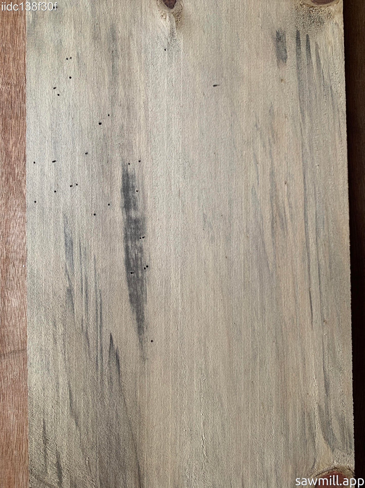 1" x 8" x 44" Norfolk Pine