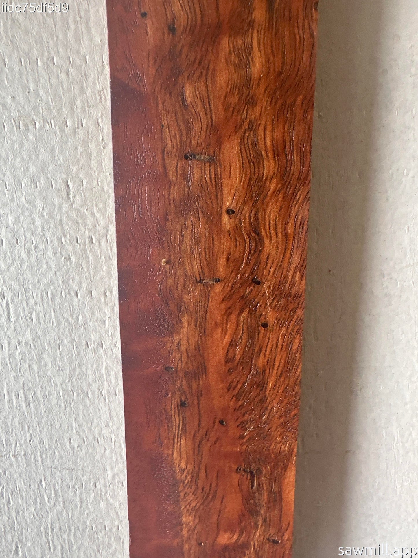 0.75" x 2" x 47" Eucalyptus Robusta