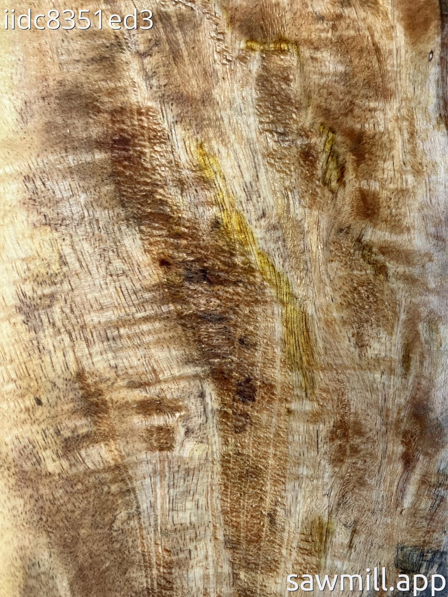 1.5" x 7" x 31" Mango