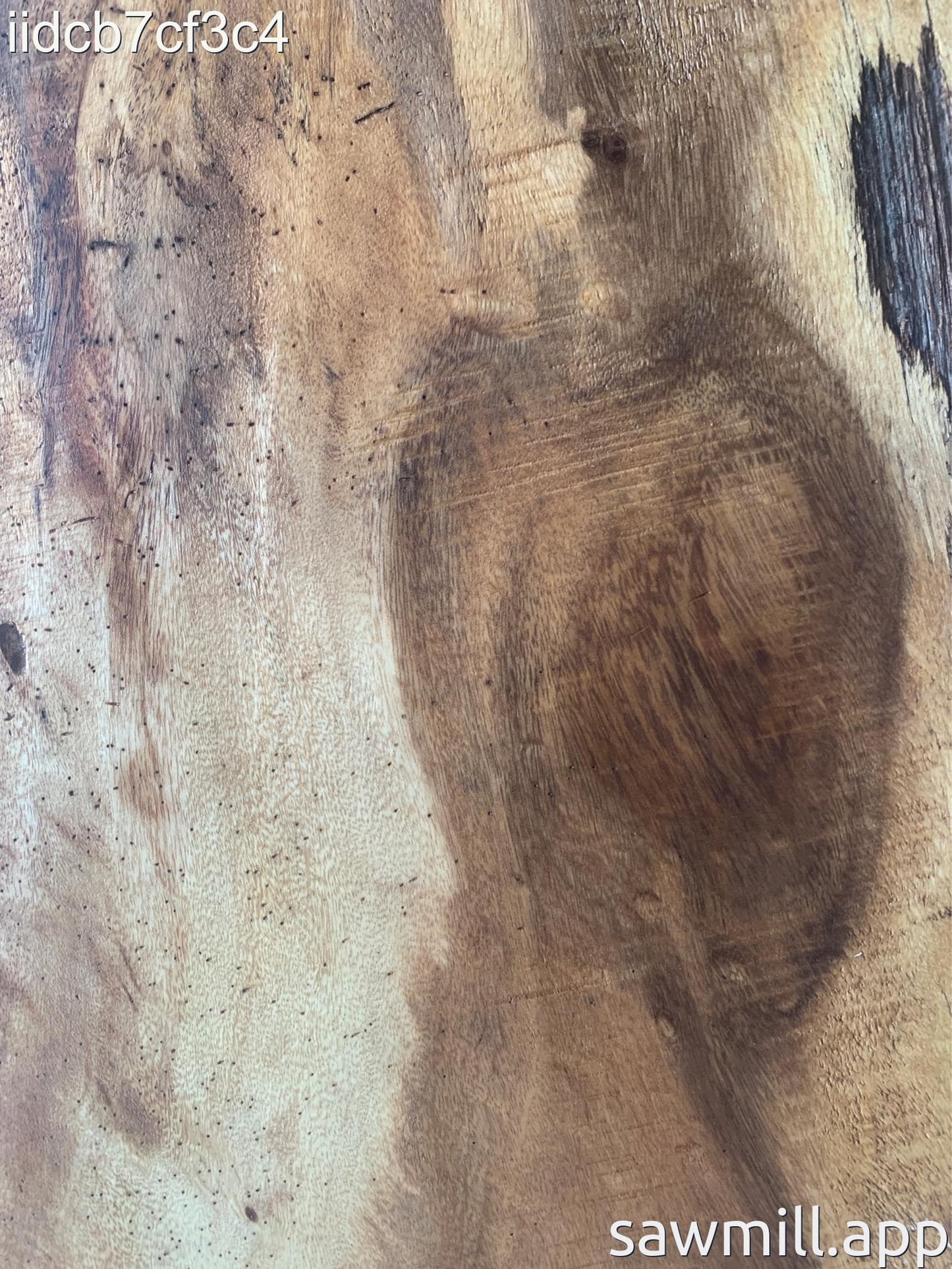 2.75" x 24" x 30" Monkeypod