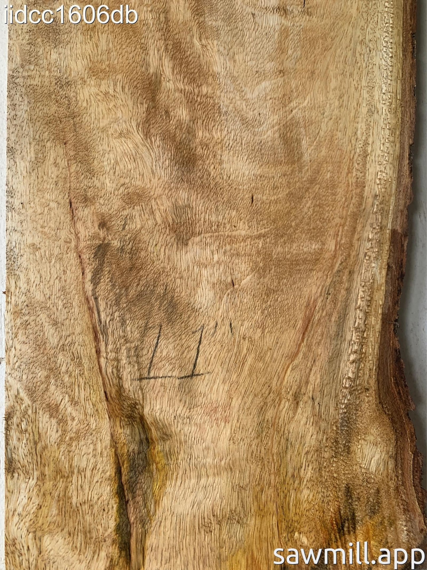 1" x 13" x 38" Mango