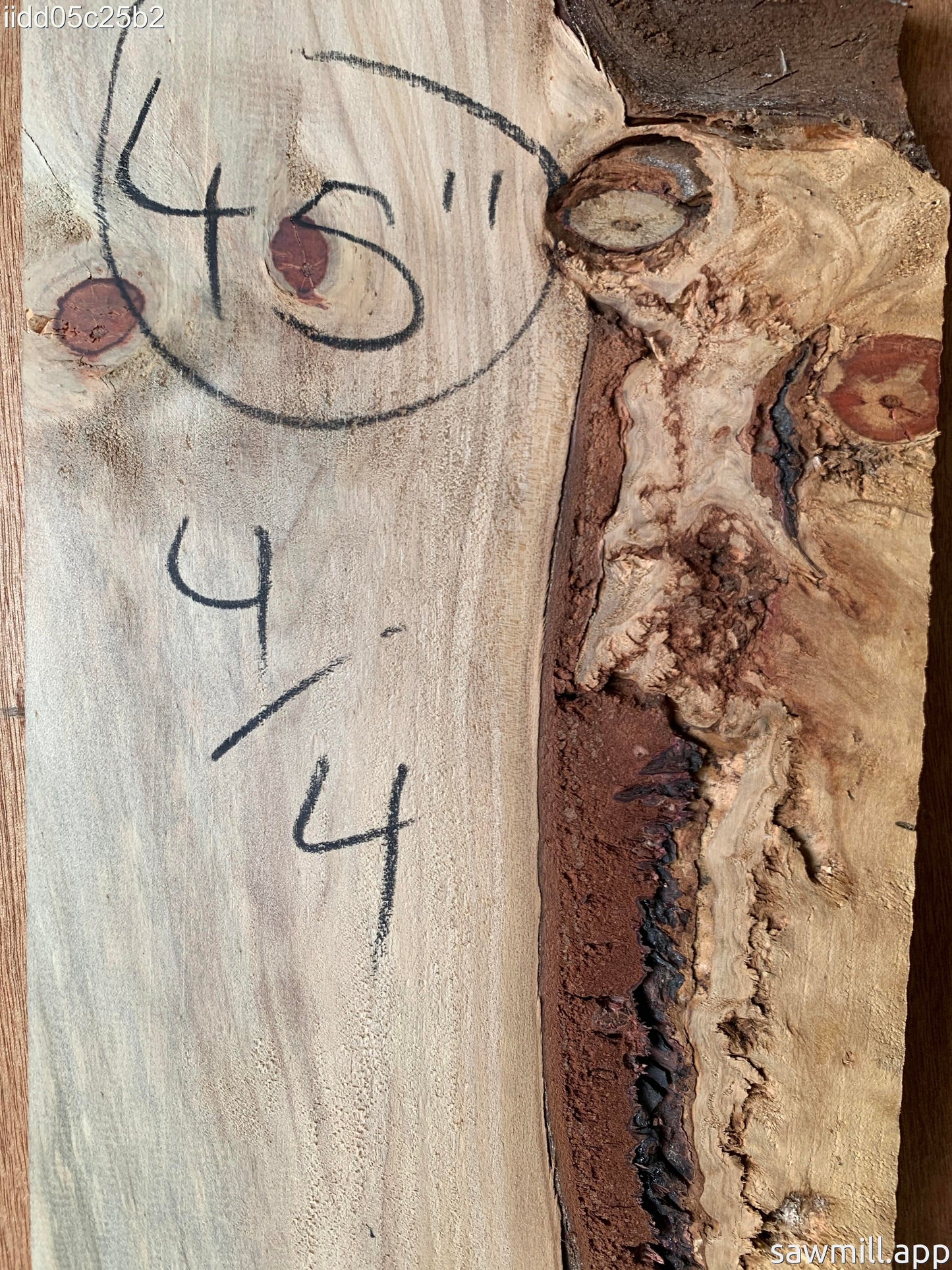 1" x 7" x 45" Norfolk Pine