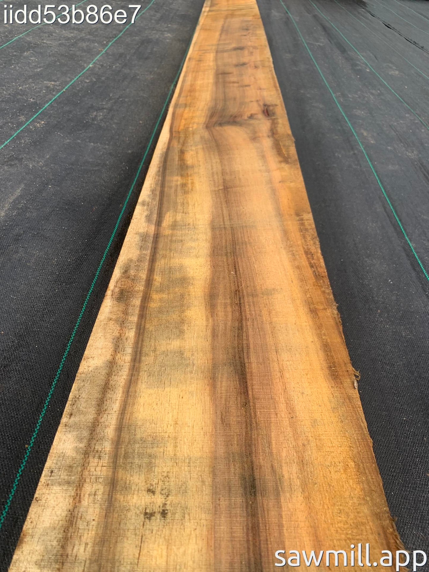2" x 11" x 144" Chocolate Albizia