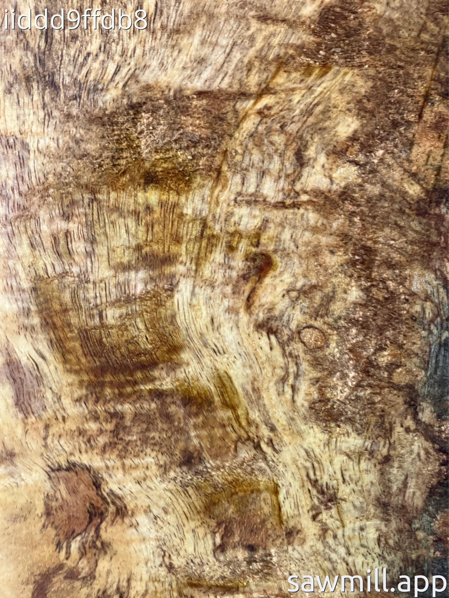 1.5" x 7" x 34" Mango